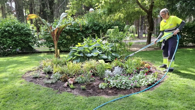Las brigadas trabajan estos días en la plantación distintos puntos de la ciudad. Las brigadas trabajan estos días en la plantación distintos puntos de la ciudad.