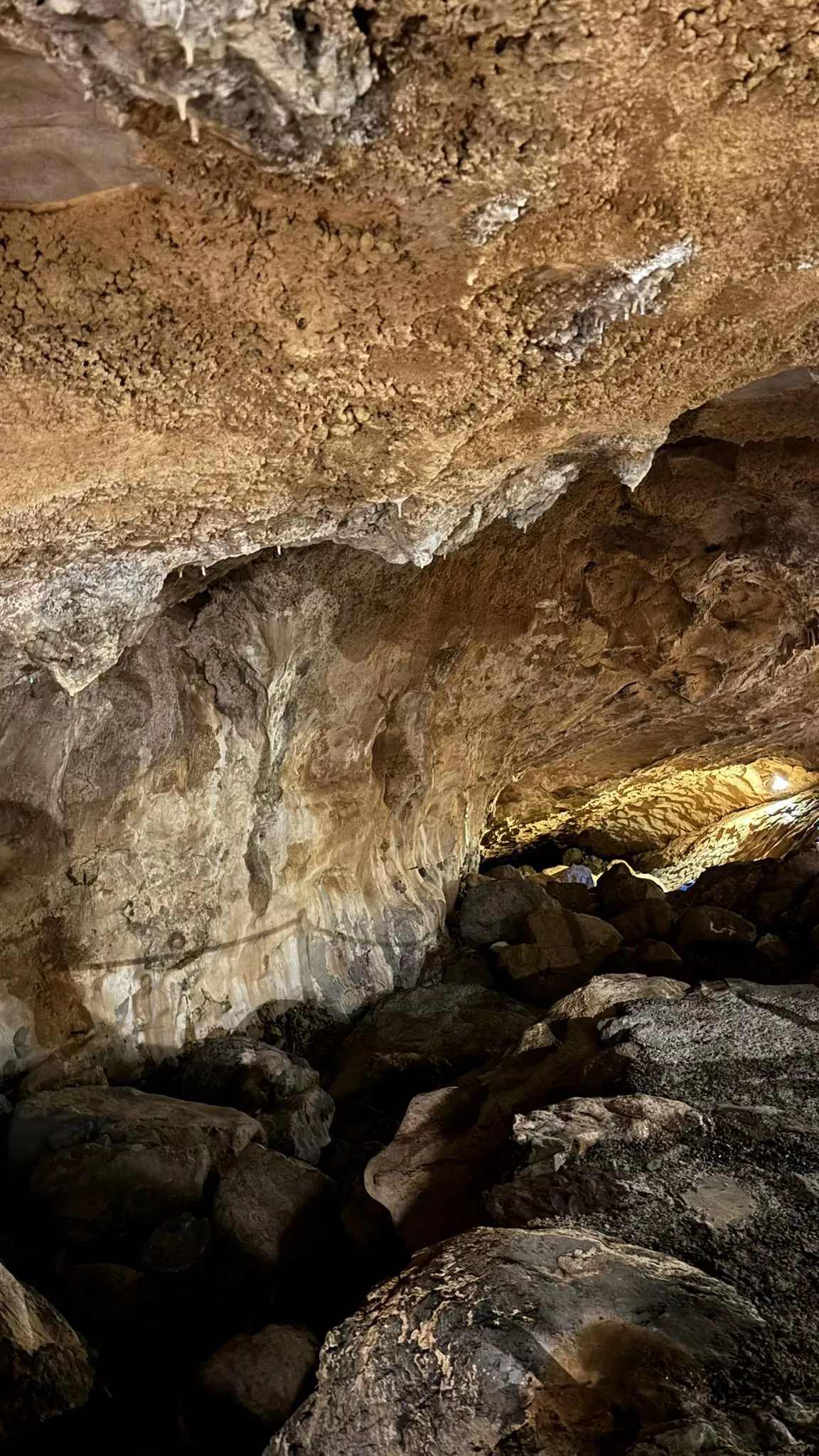 Visita a la Cueva de las Güixas en Villanúa.