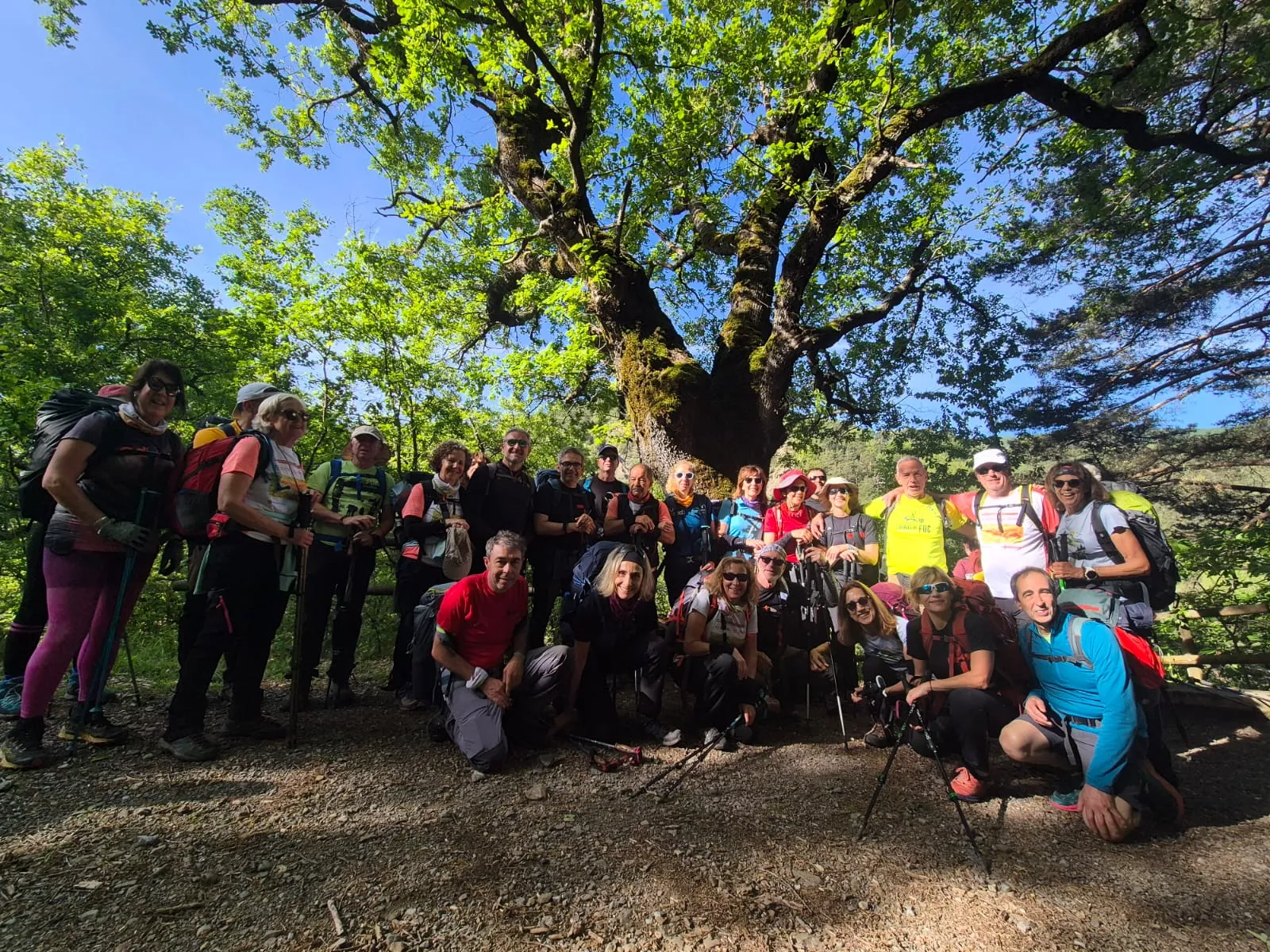 Recorrido de las etapas ocho y nueve del GR15 de cincuenta Javieres. Foto Juanlu Herrero