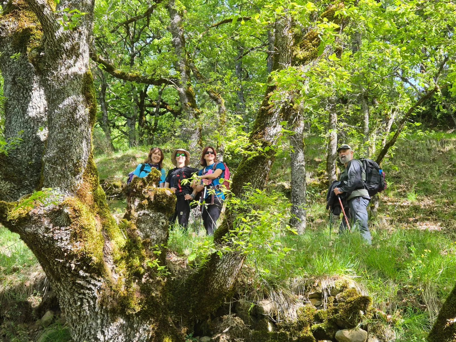Recorrido de las etapas ocho y nueve del GR15 de cincuenta Javieres. Foto Juanlu Herrero