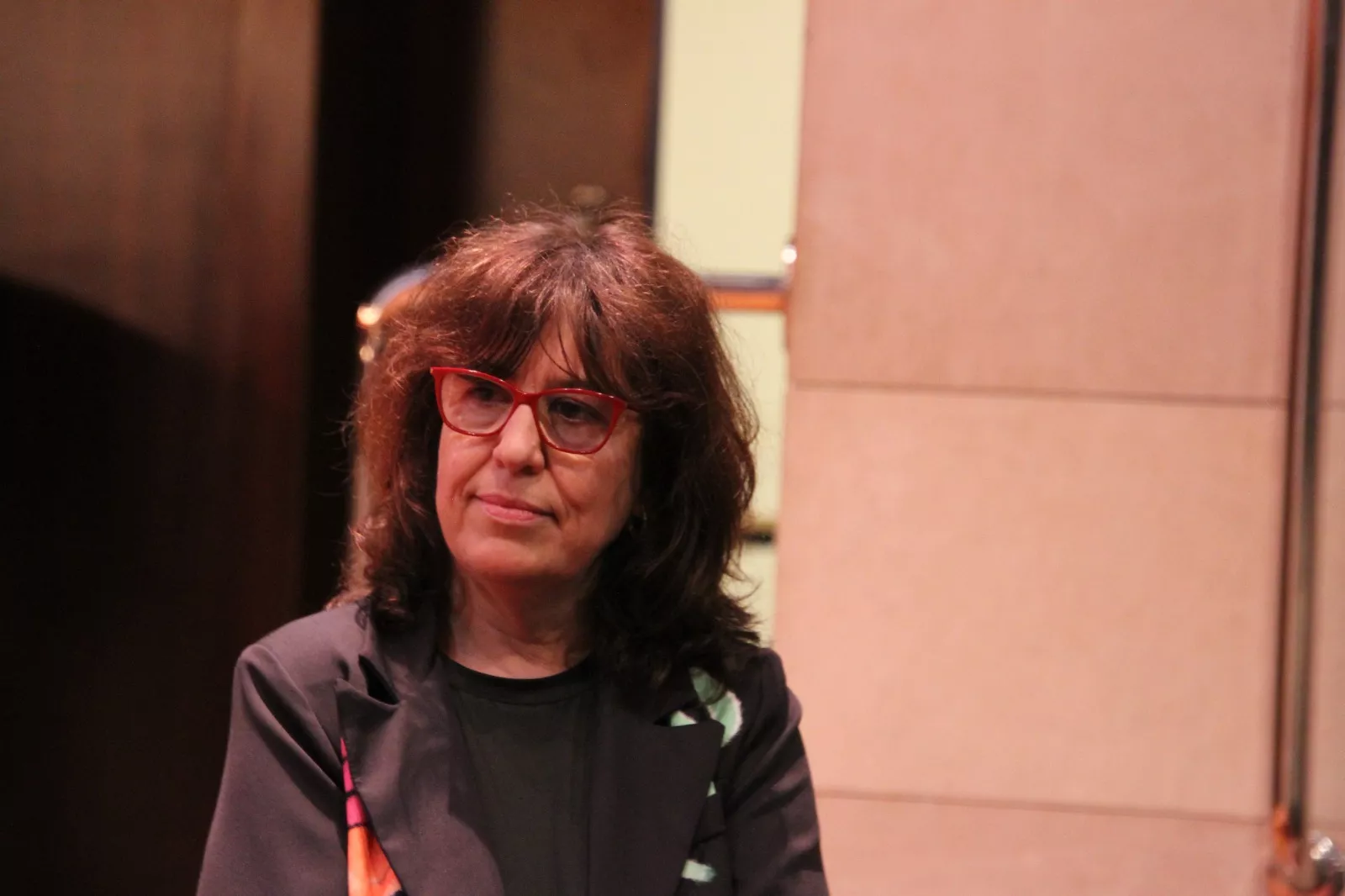 Chus Fenero. Presentación del cartel de la Muestra de Cine Realizados por Mujeres con Azucena Rodríguez y Ana Jarén. Foto Carlos Neofato