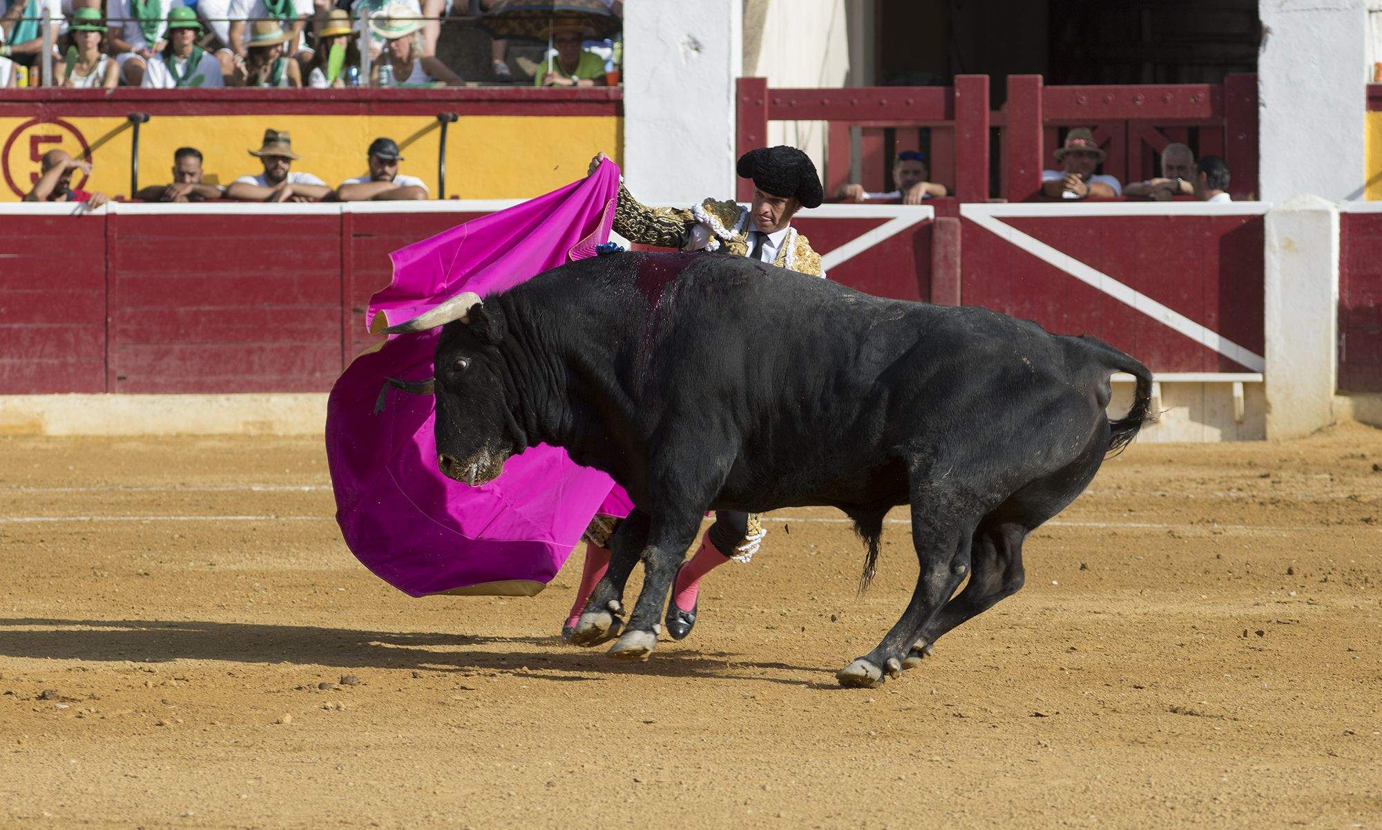 El Juli se mostró muy firme pero falló con la espada. Foto Jacques Valat