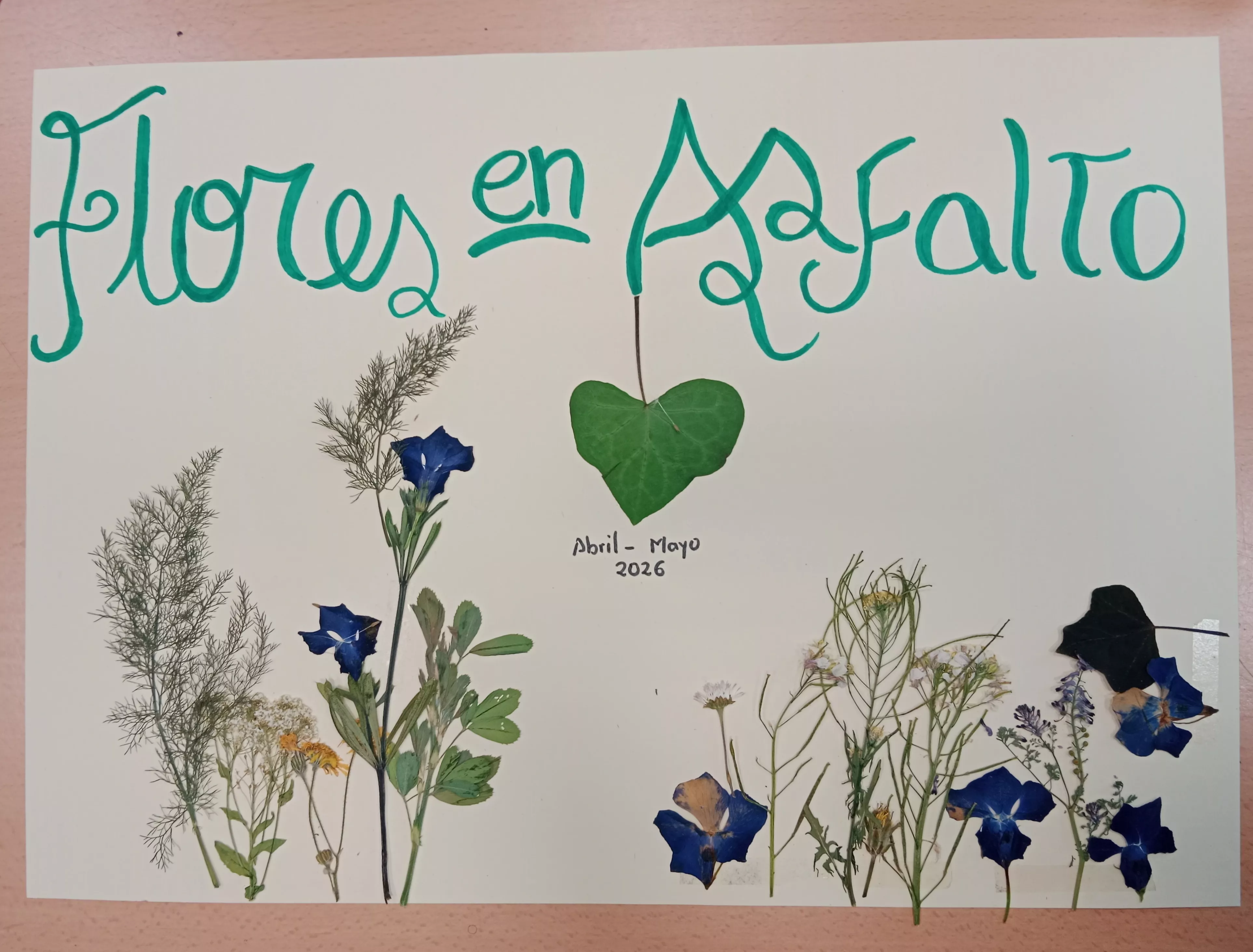 El Ayuntamiento clausura “Flores en el asfalto” con una intervención artística en el Parque Miguel Servet.