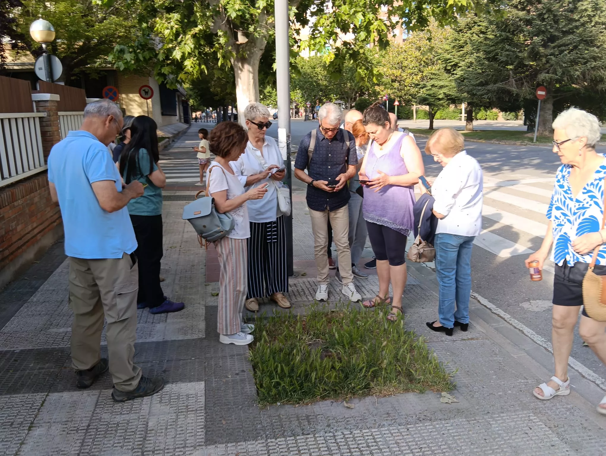 El mapeo ciudadano detecta árboles desaparecidos que siguen registrados en la aplicación municipal.