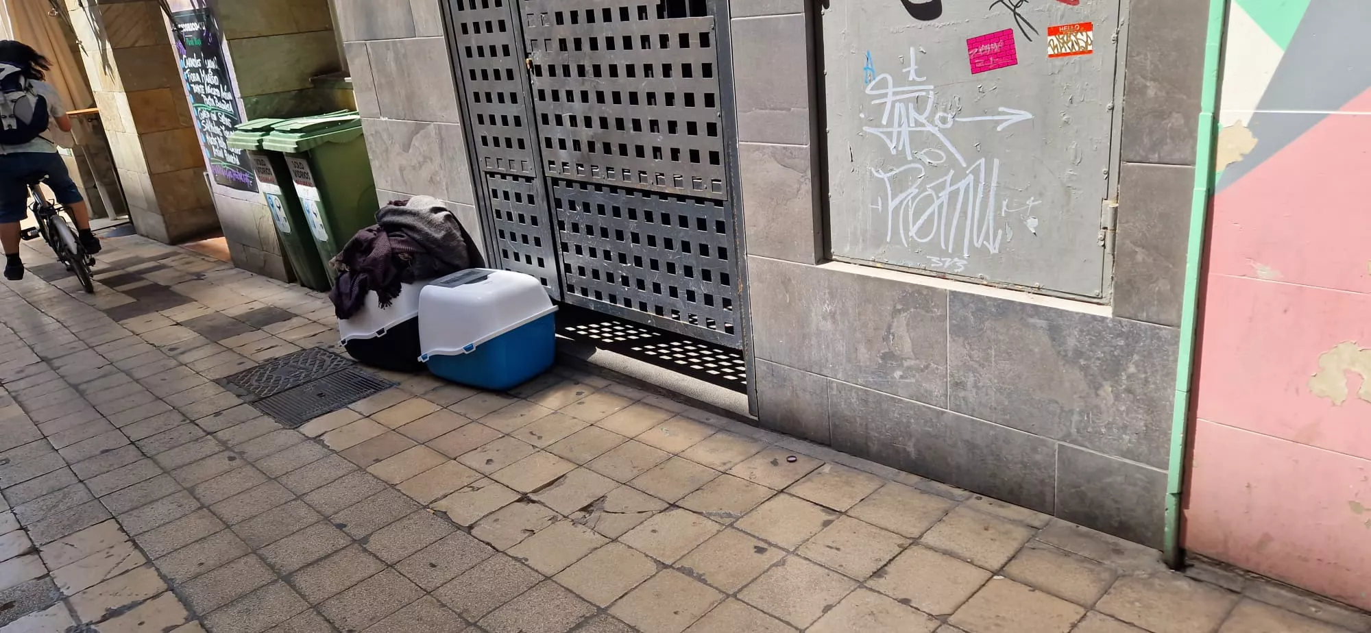 Los gatos han sido retirados en transportines de la vivienda tras el desalojo.