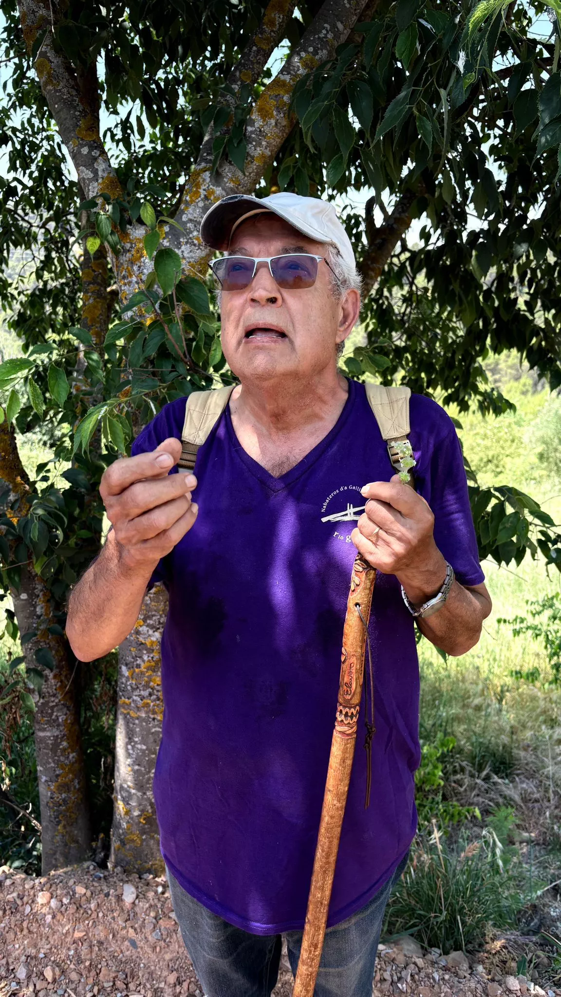 Caminito Medicinal entre Santa Eulalia de Gállego y Erés