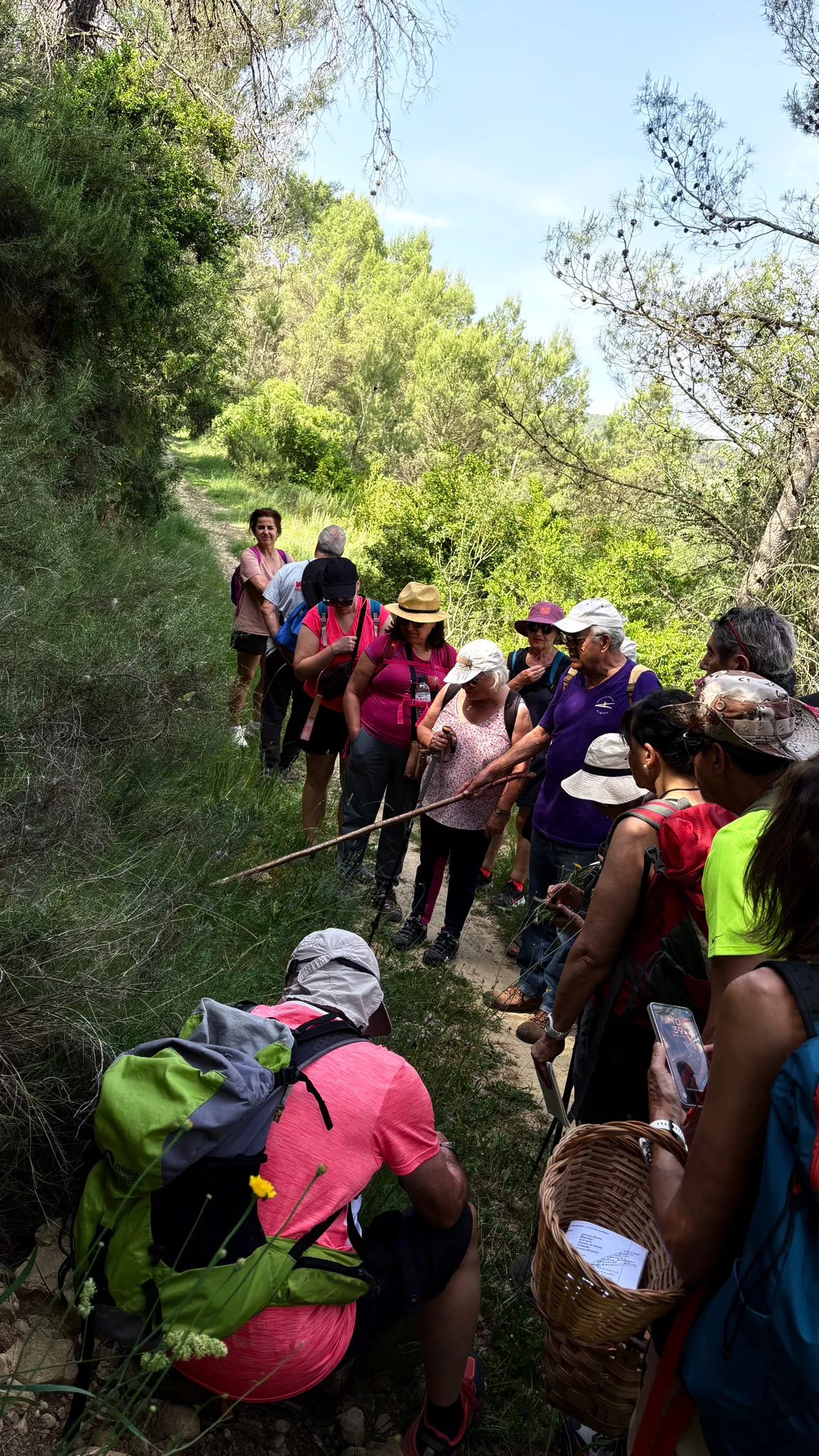 Caminito Medicinal entre Santa Eulalia de Gállego y Erés