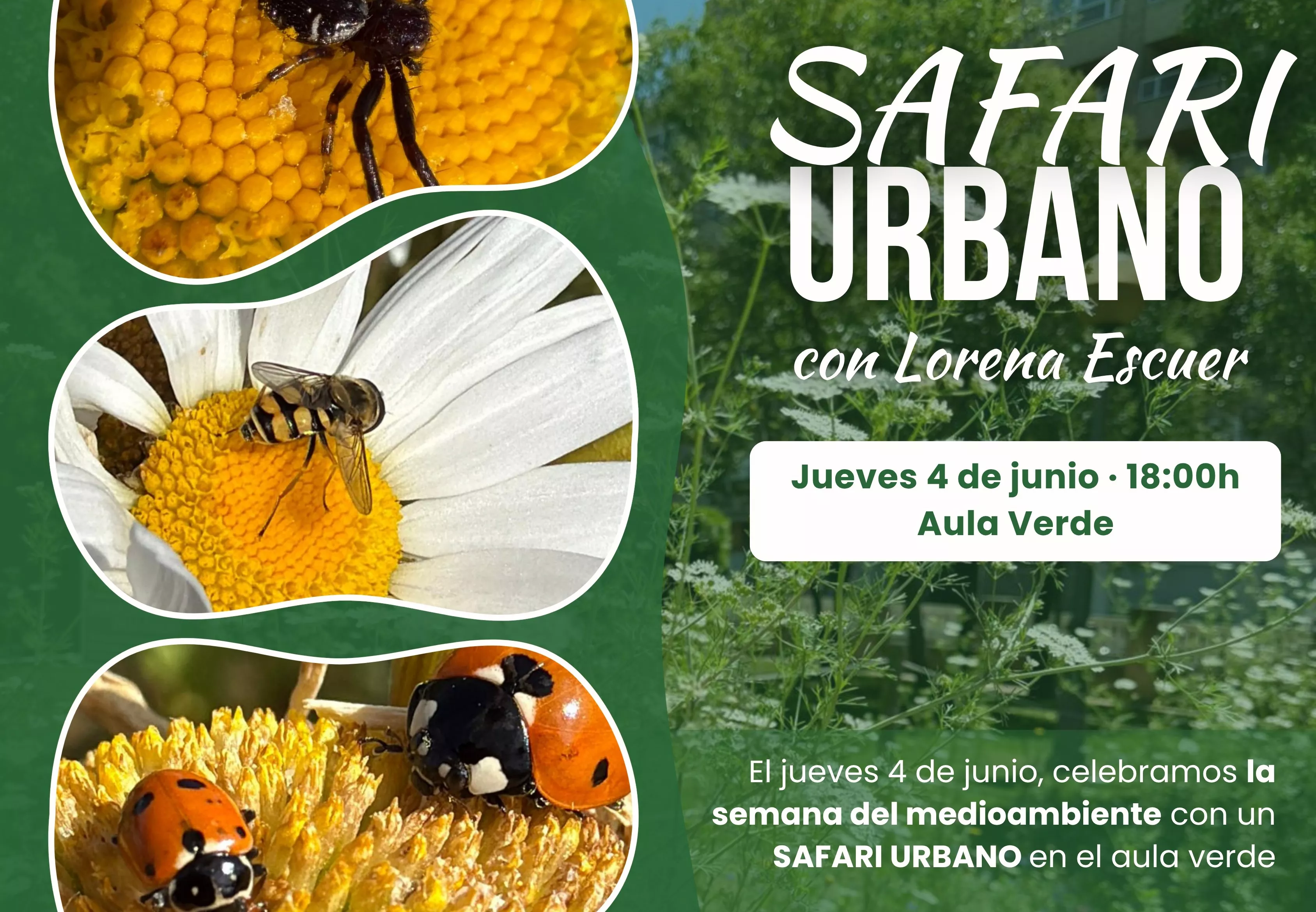 Cartel del Safari Urbano
