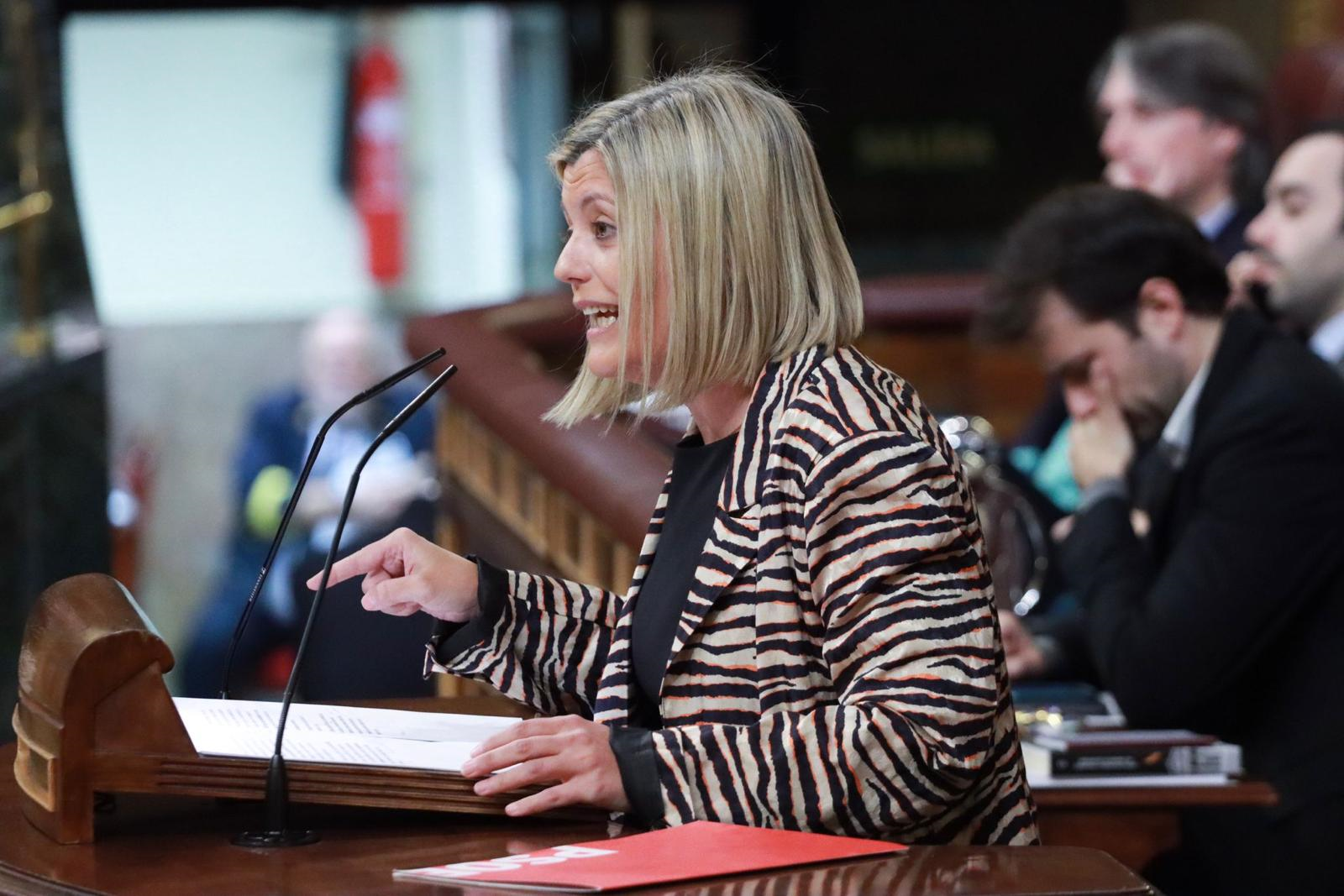 Begoña Nasarre, en una intervención en el Congreso de los Diputados 