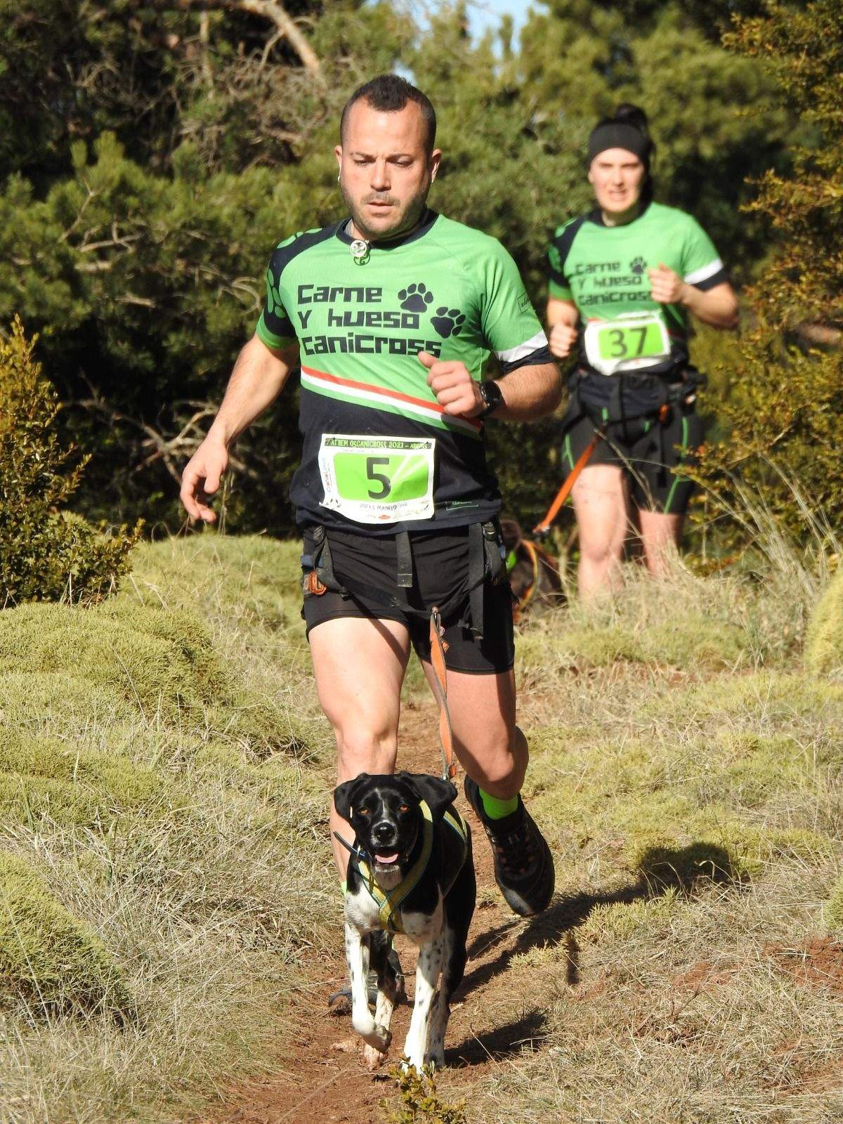 Imágenes del Xtrem Canicross de Arguis 