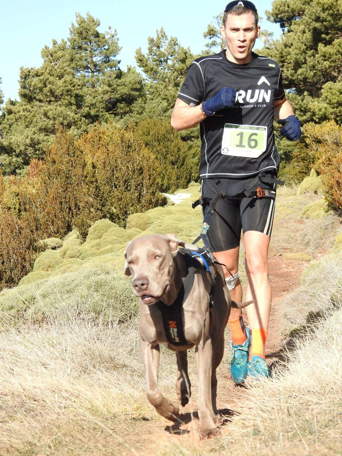 Imágenes del Xtrem Canicross de Arguis 