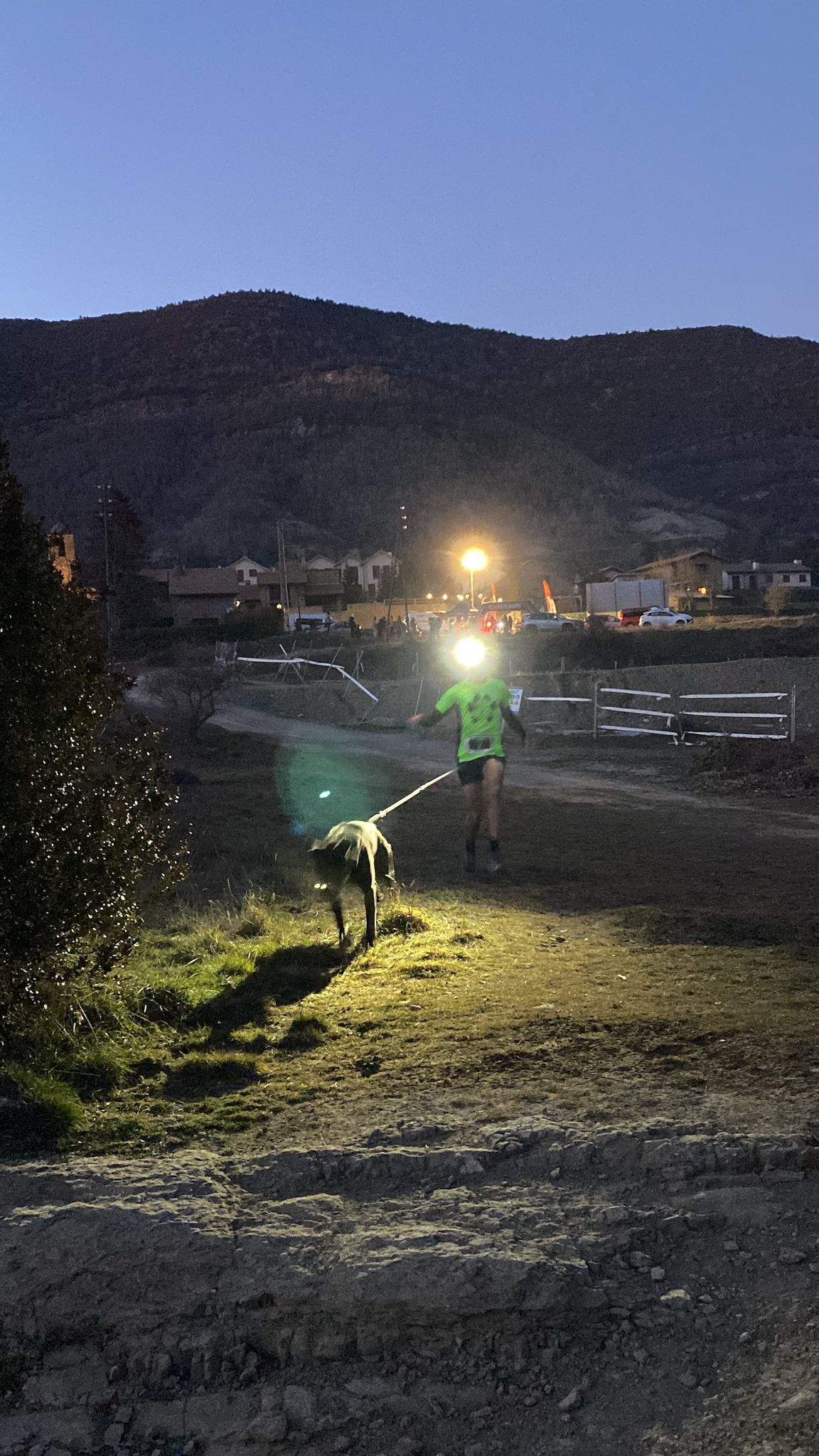 Imágenes del Xtrem Canicross de Arguis 