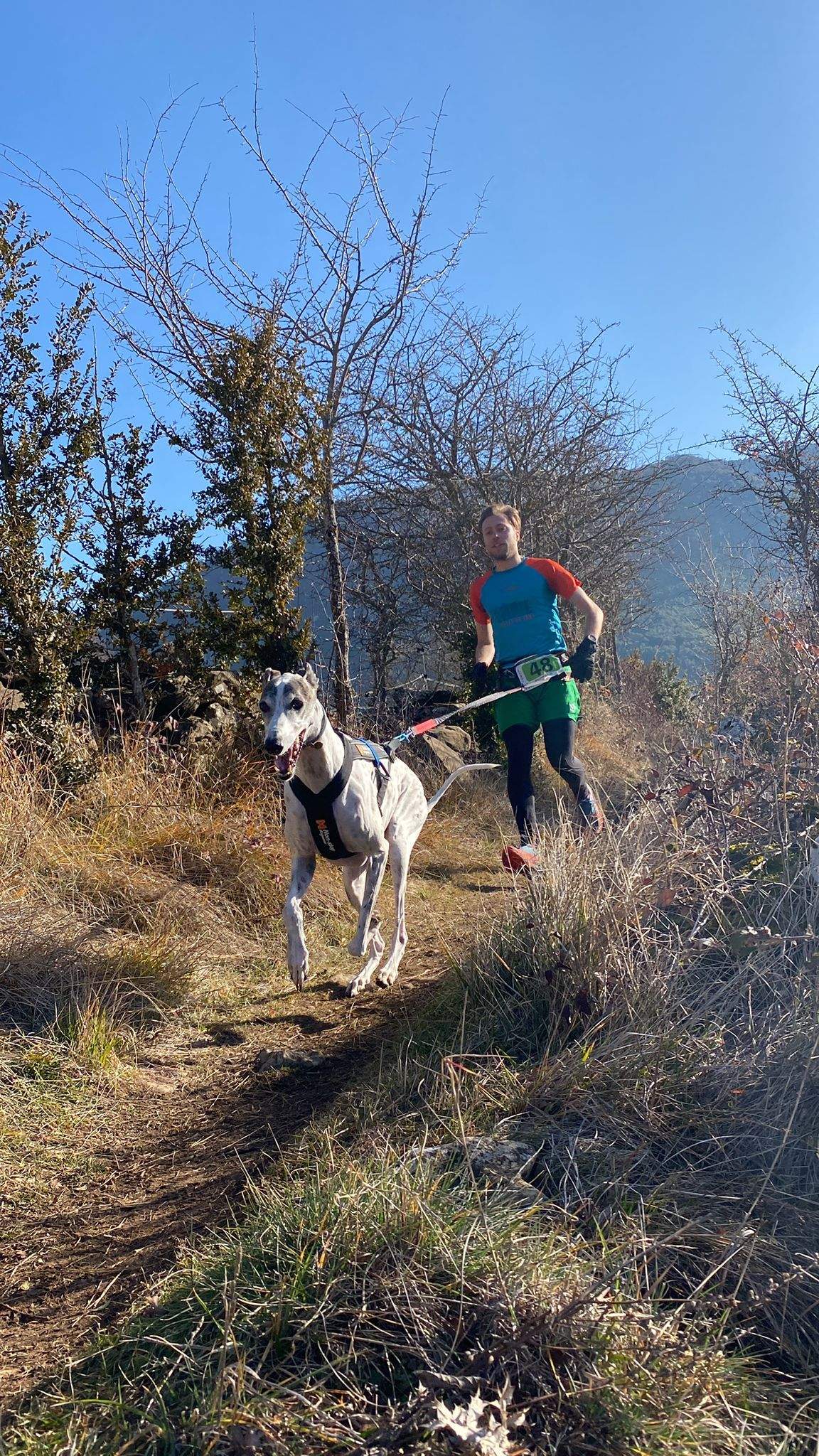 Imágenes del Xtrem Canicross de Arguis 
