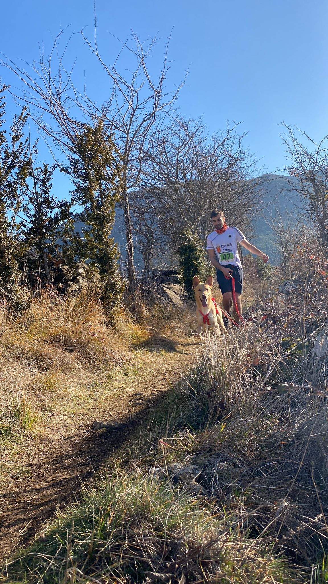 Imágenes del Xtrem Canicross de Arguis 