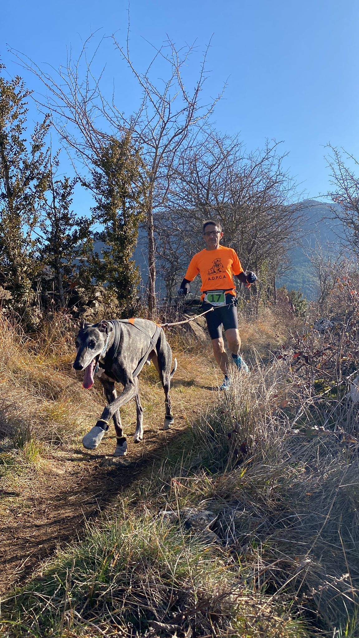 Imágenes del Xtrem Canicross de Arguis 