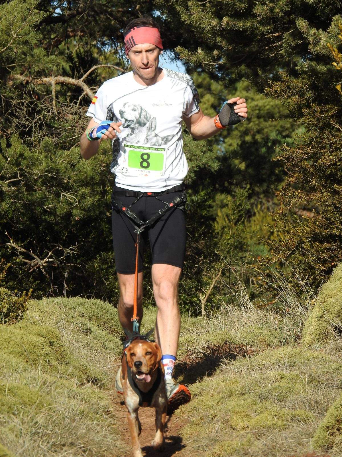 Imágenes del Xtrem Canicross de Arguis 