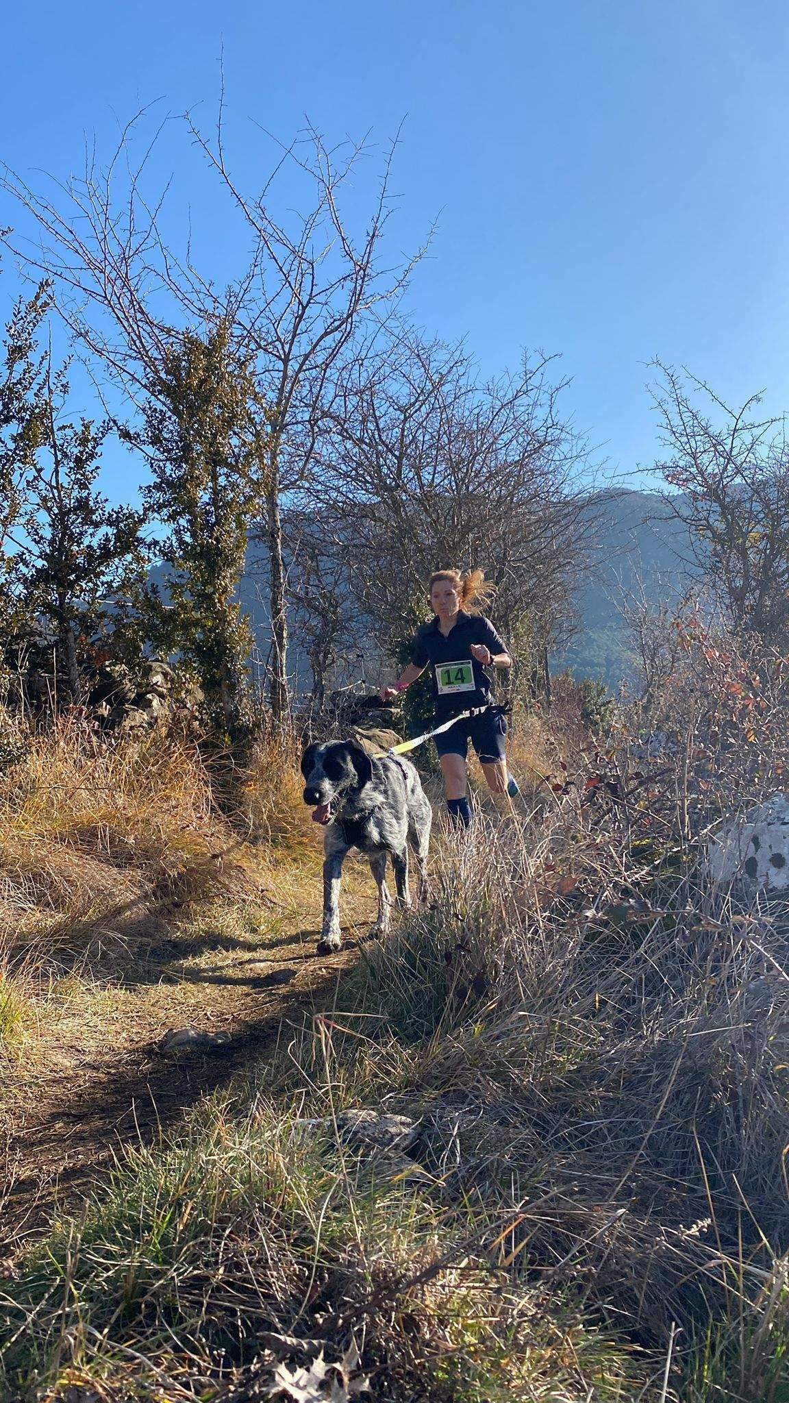 Imágenes del Xtrem Canicross de Arguis 