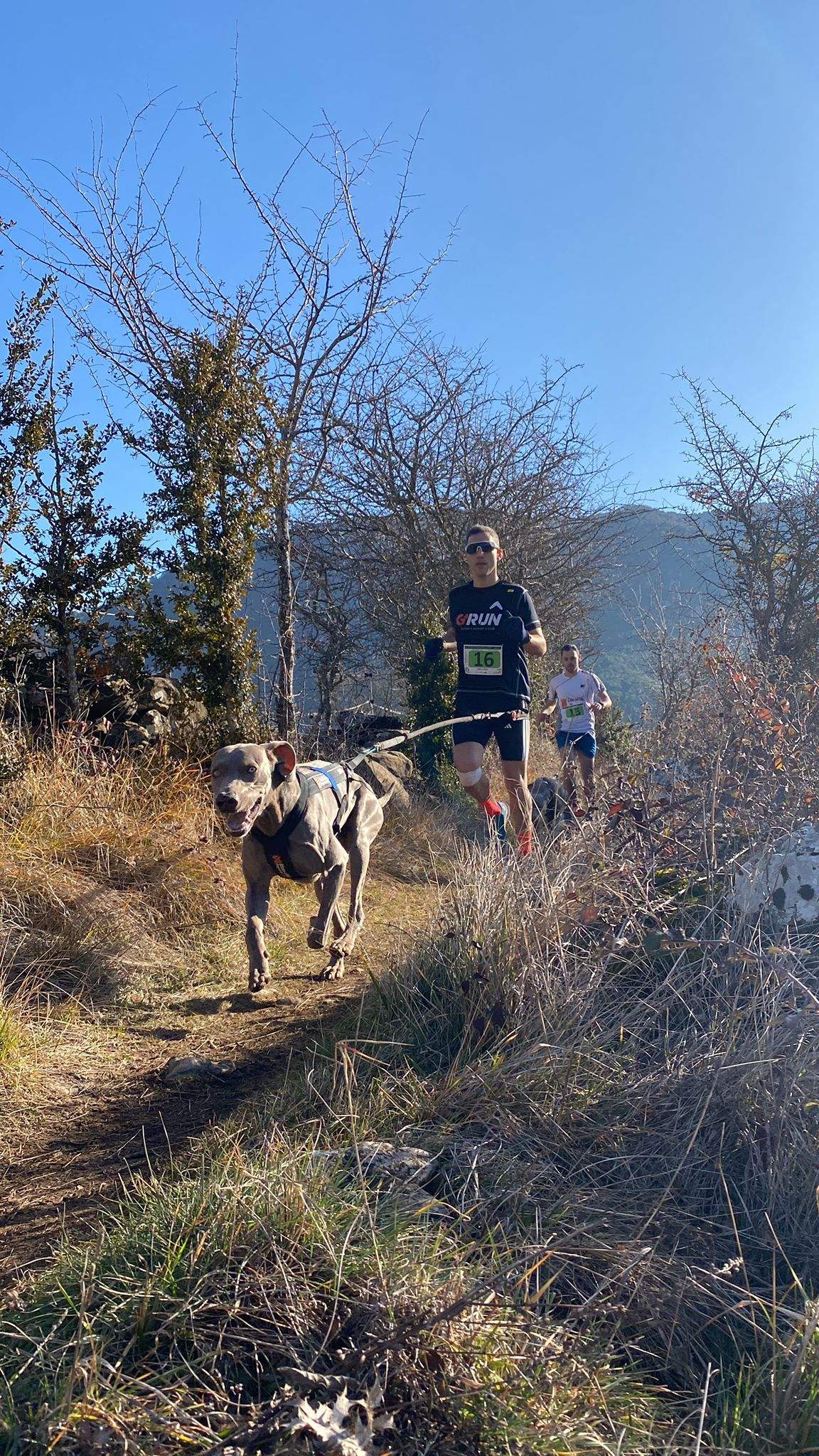 Imágenes del Xtrem Canicross de Arguis 