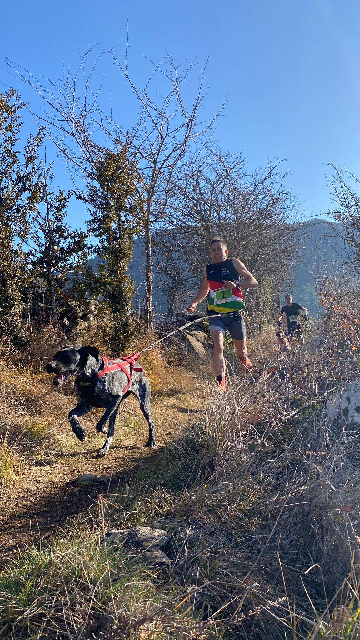 Imágenes del Xtrem Canicross de Arguis 