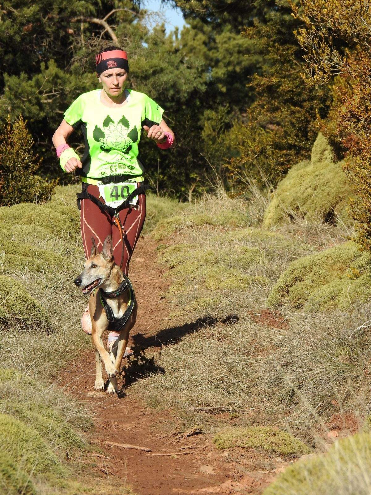 Imágenes del Xtrem Canicross de Arguis 
