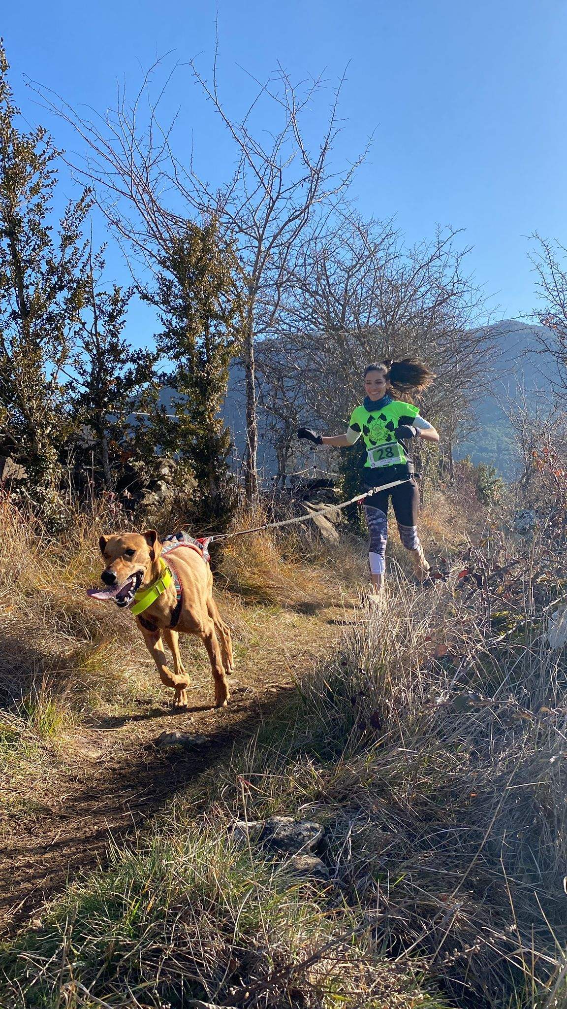 Imágenes del Xtrem Canicross de Arguis 