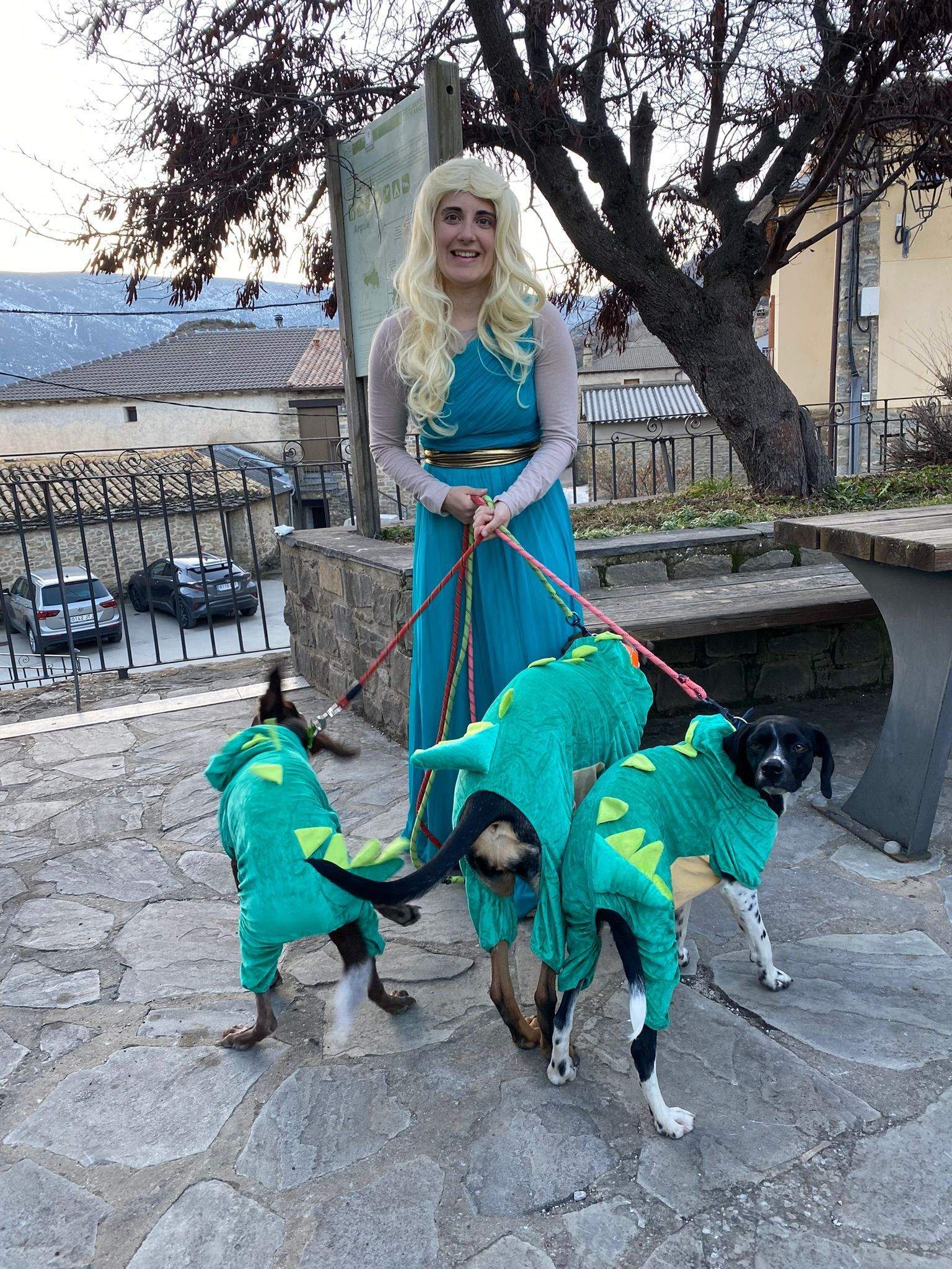 Imágenes del Xtrem Canicross de Arguis 