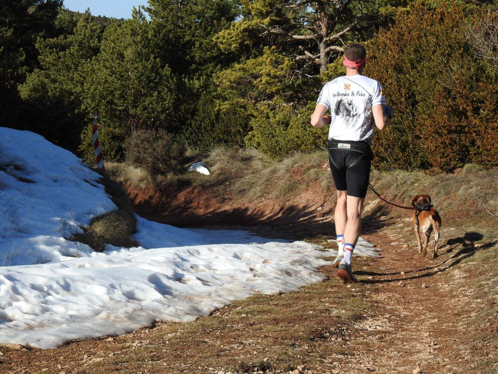 Imágenes del Xtrem Canicross de Arguis 