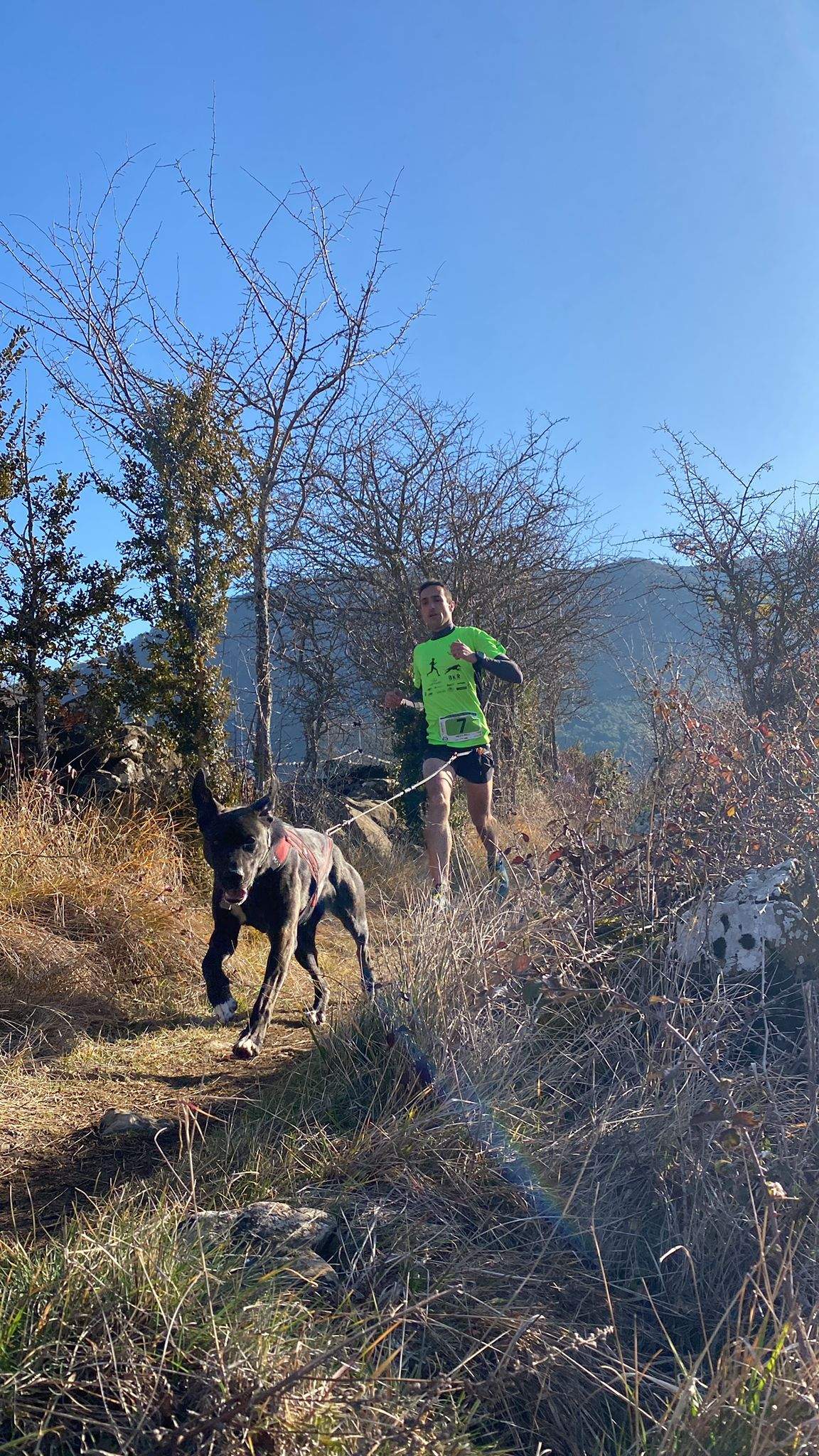 Imágenes del Xtrem Canicross de Arguis 