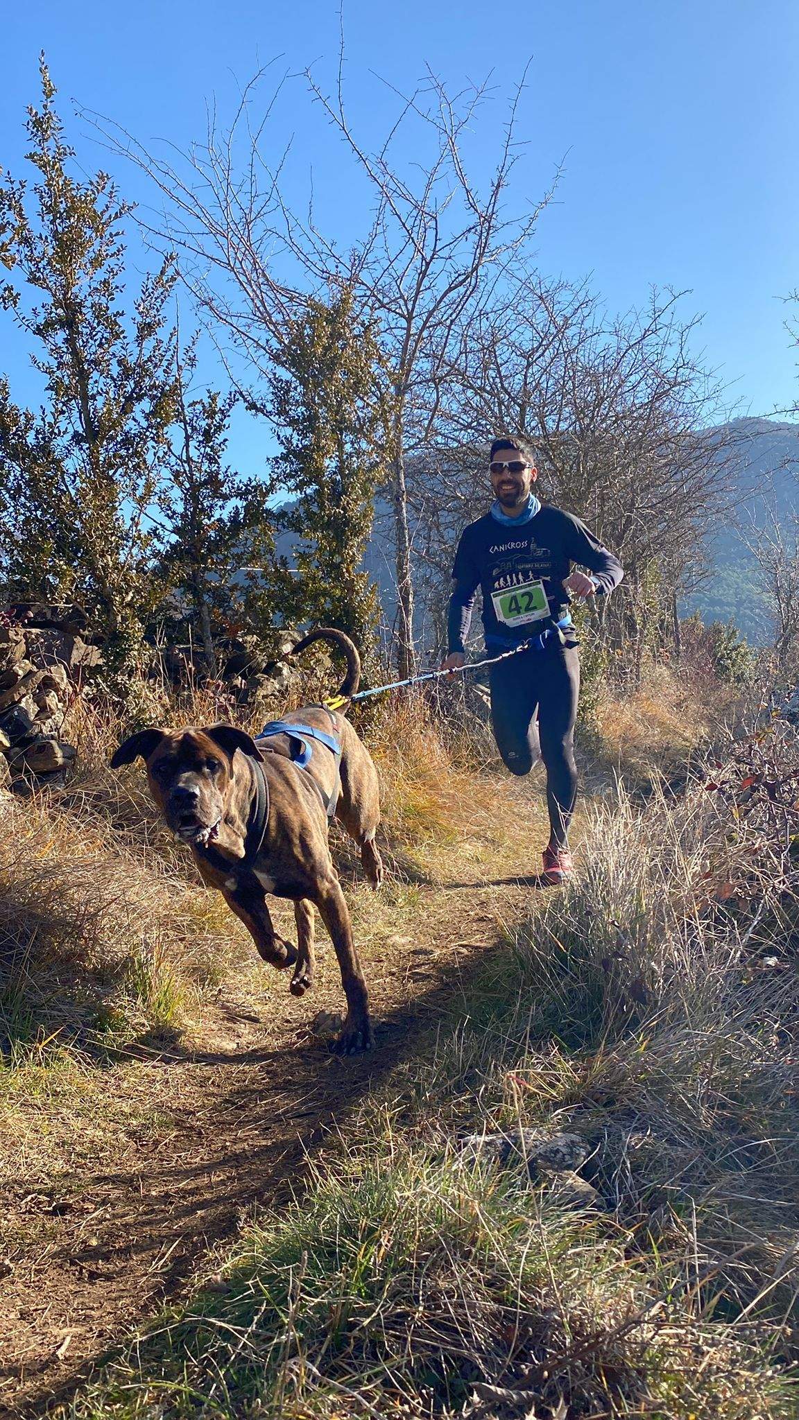 Imágenes del Xtrem Canicross de Arguis 