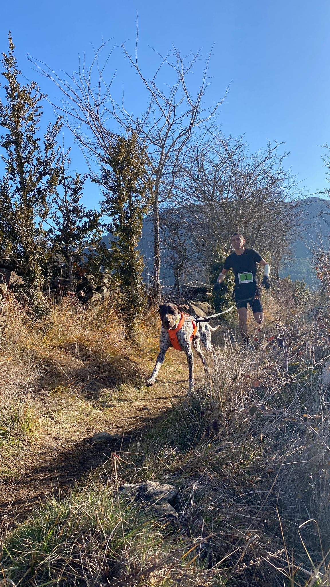 Imágenes del Xtrem Canicross de Arguis 