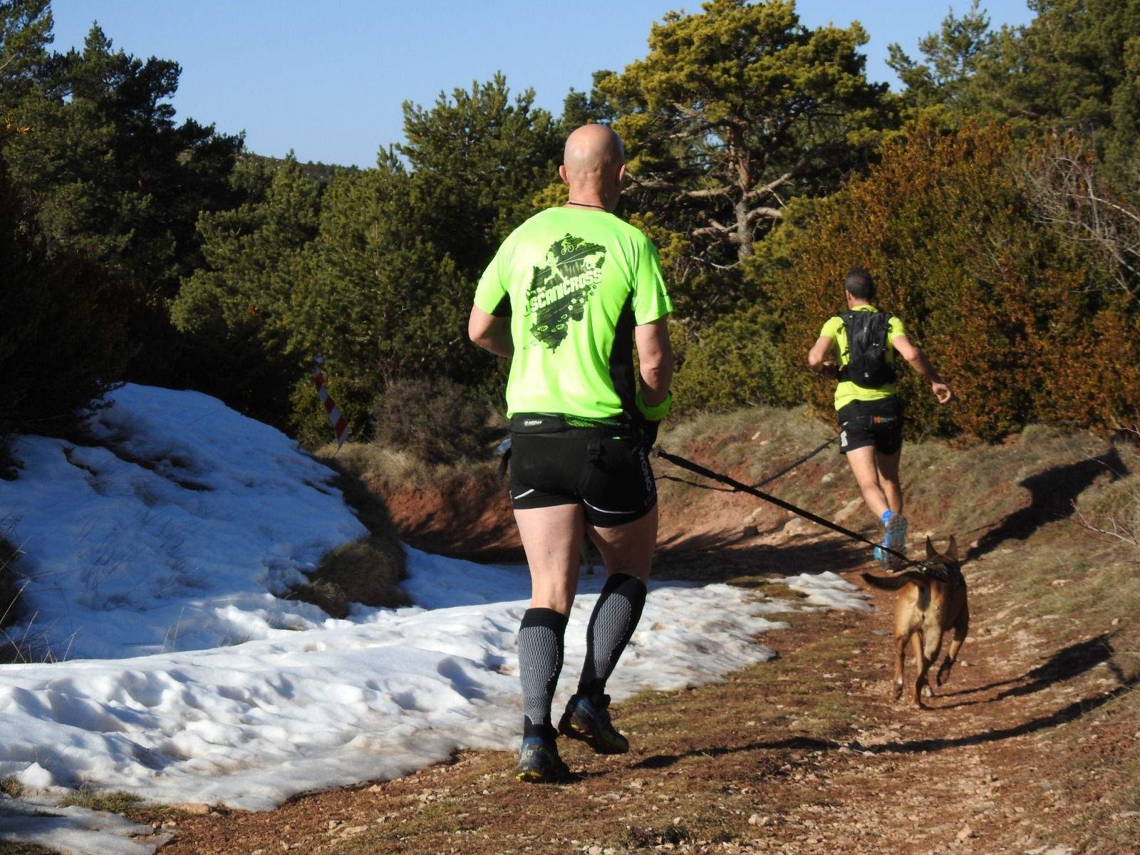 Imágenes del Xtrem Canicross de Arguis 