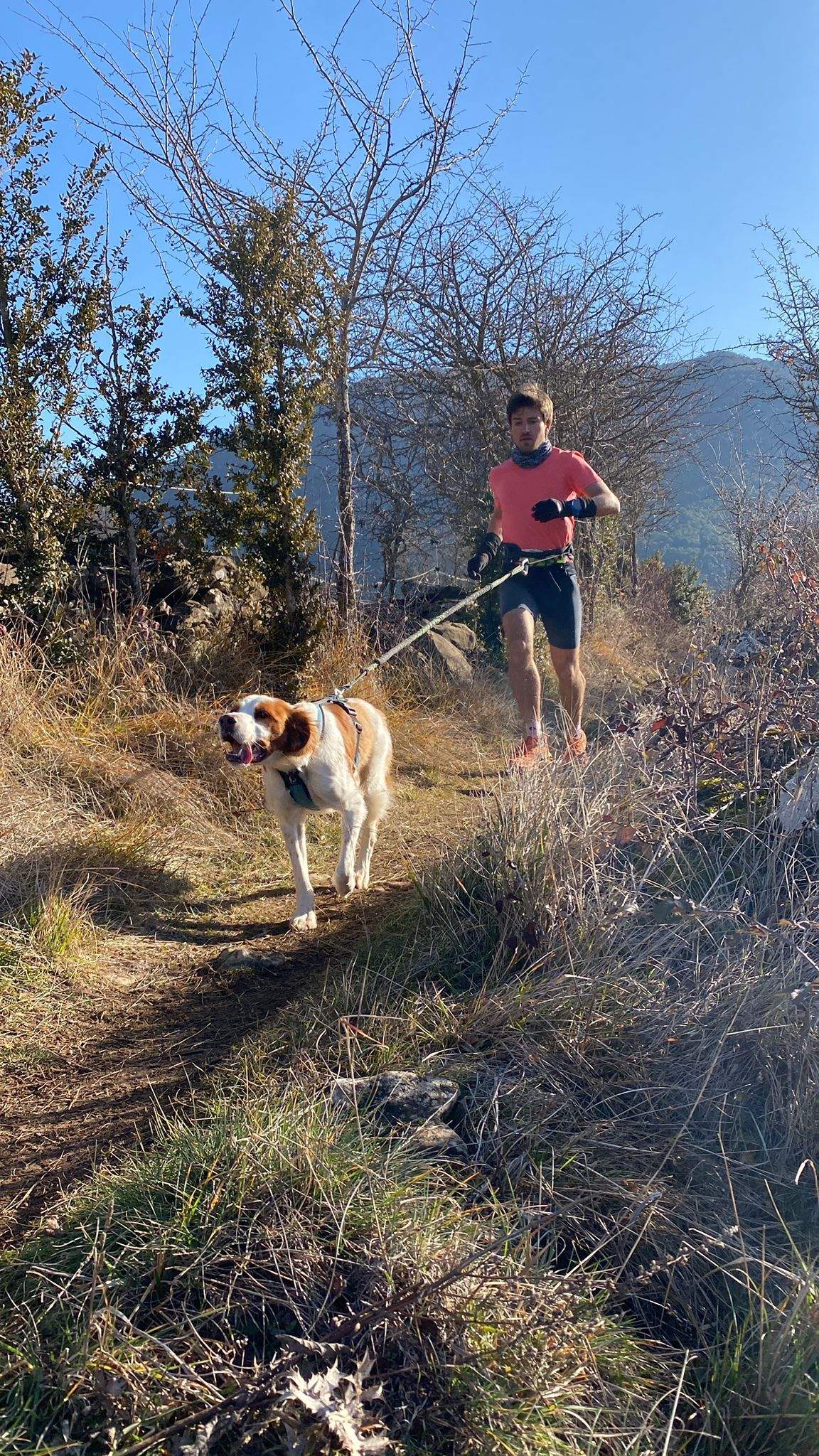 Imágenes del Xtrem Canicross de Arguis 