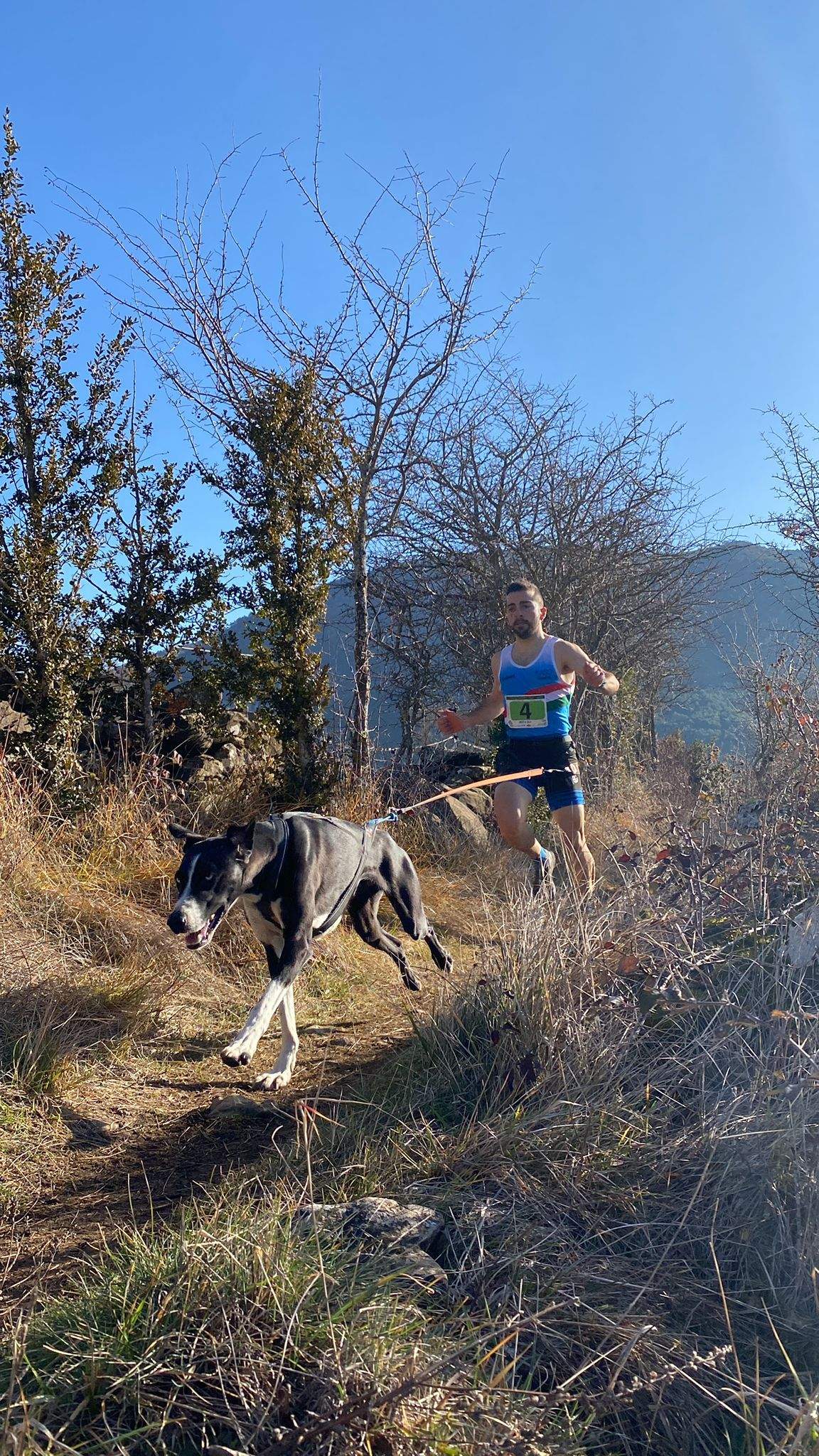Imágenes del Xtrem Canicross de Arguis 