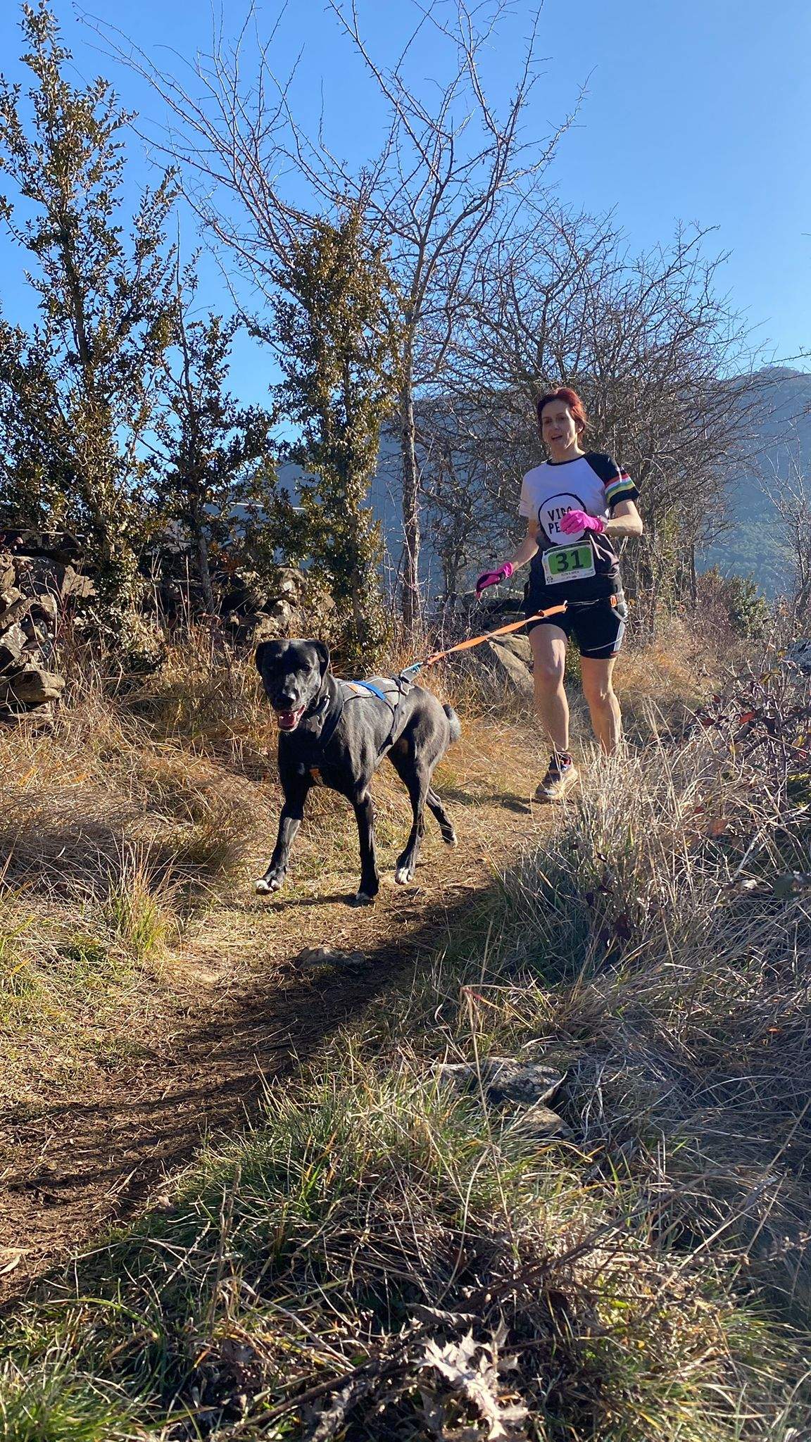Imágenes del Xtrem Canicross de Arguis 