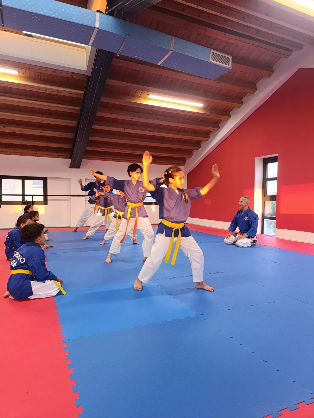 Stage Internacional de Nanbudo en Venecia