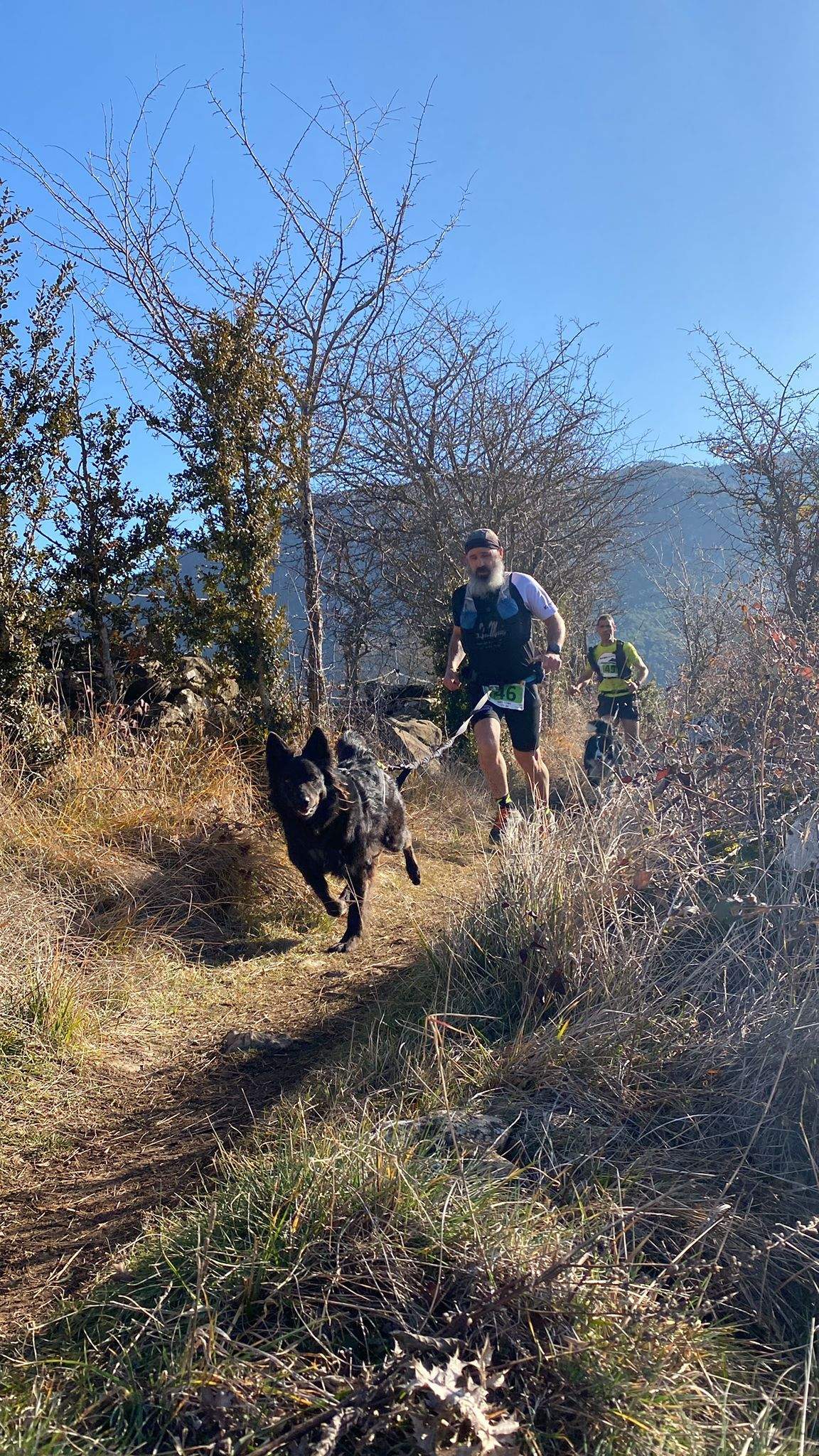 Imagen del Xtrem Canicross de Arguis.