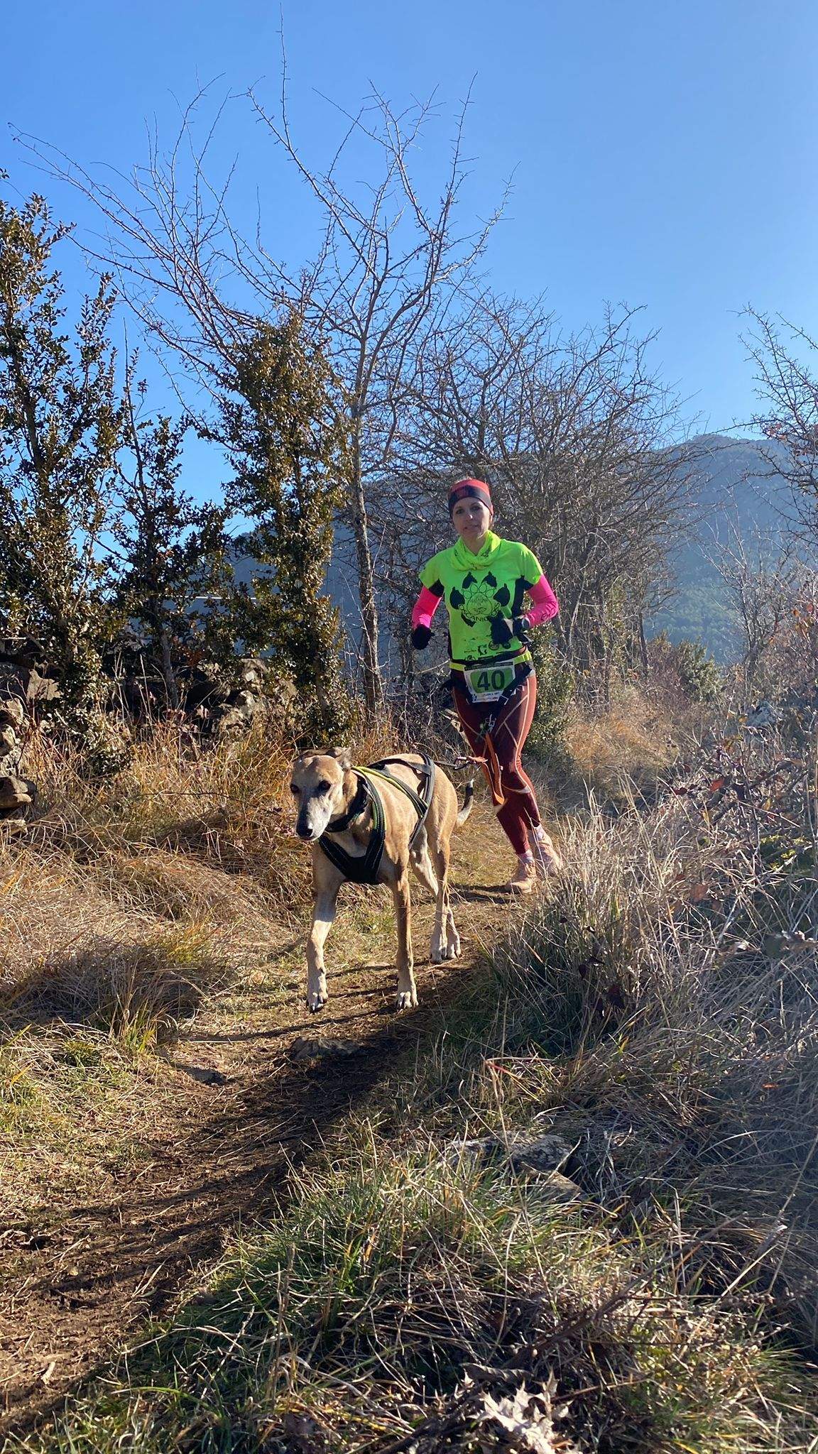Imágenes del Xtrem Canicross de Arguis 