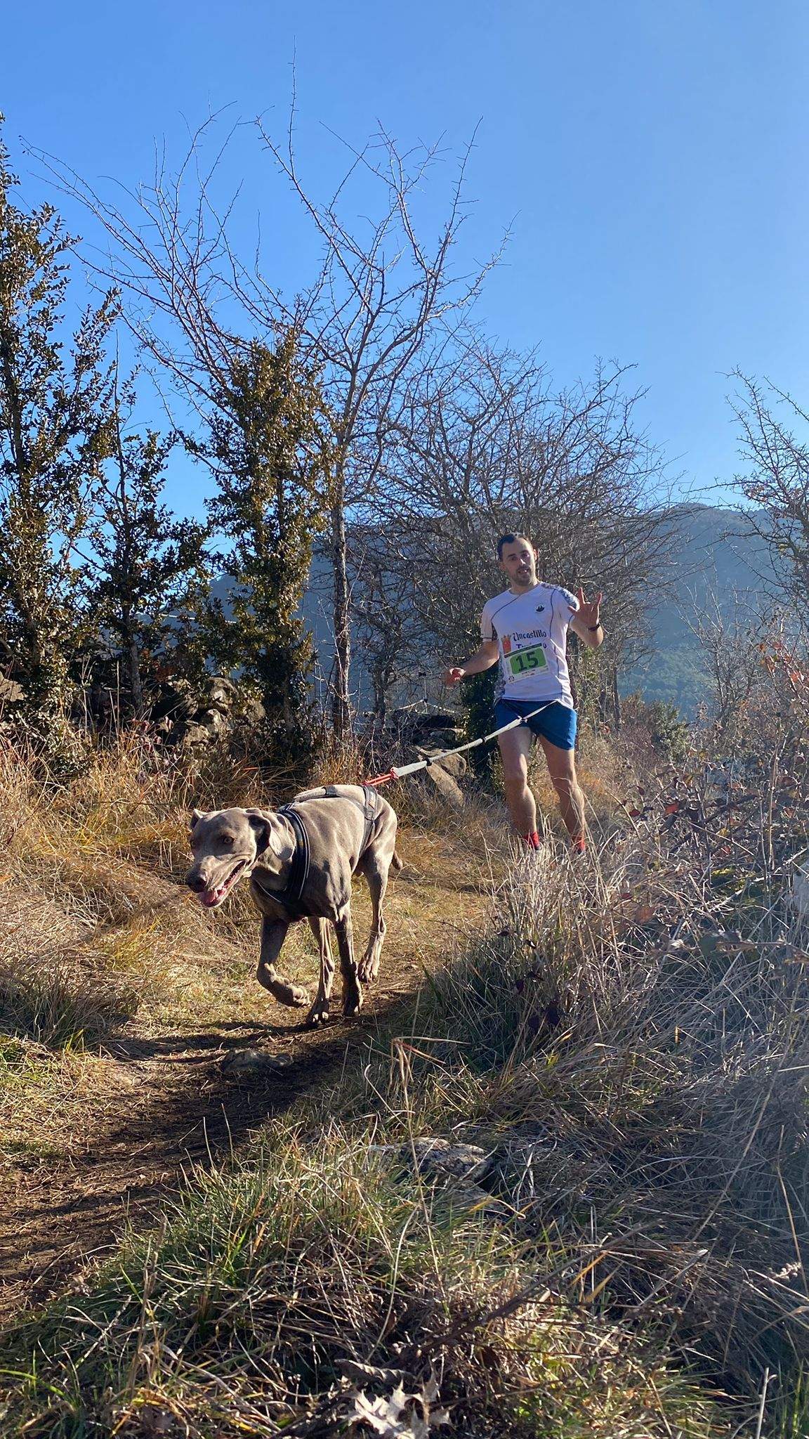 Imágenes del Xtrem Canicross de Arguis 