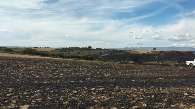 Terrenos calcinados