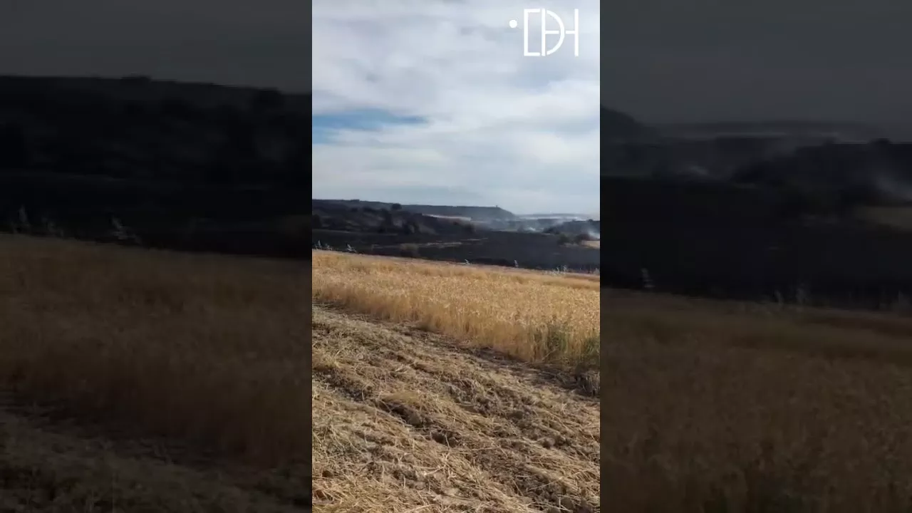Incendio de cien hectáreas en Lupiñén que atacan rápidamente los agricultores