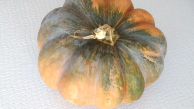 Calabaza rabique 