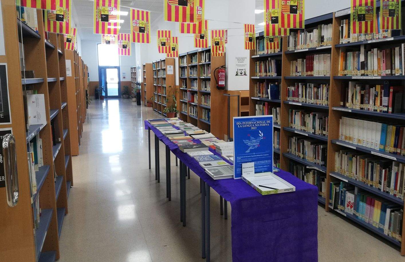 Con motivo del Día Internacional de la Lengua Materna se ha organizado la exposición 'Leye en lenguas d'Aragón'.