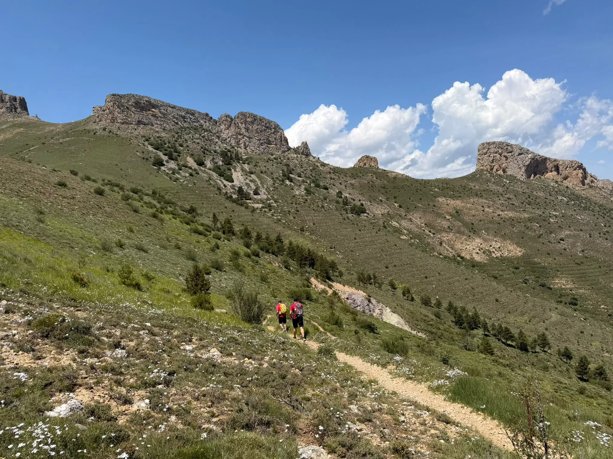 Jornadas de los Javieres en el Moncayo. Fotos Iván Jaime