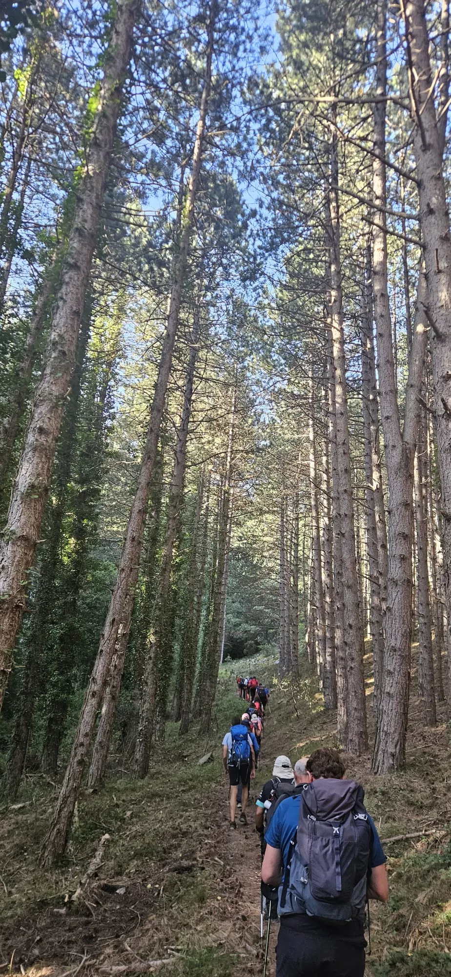 Jornadas de los Javieres en el Moncayo. Fotos Iván Jaime