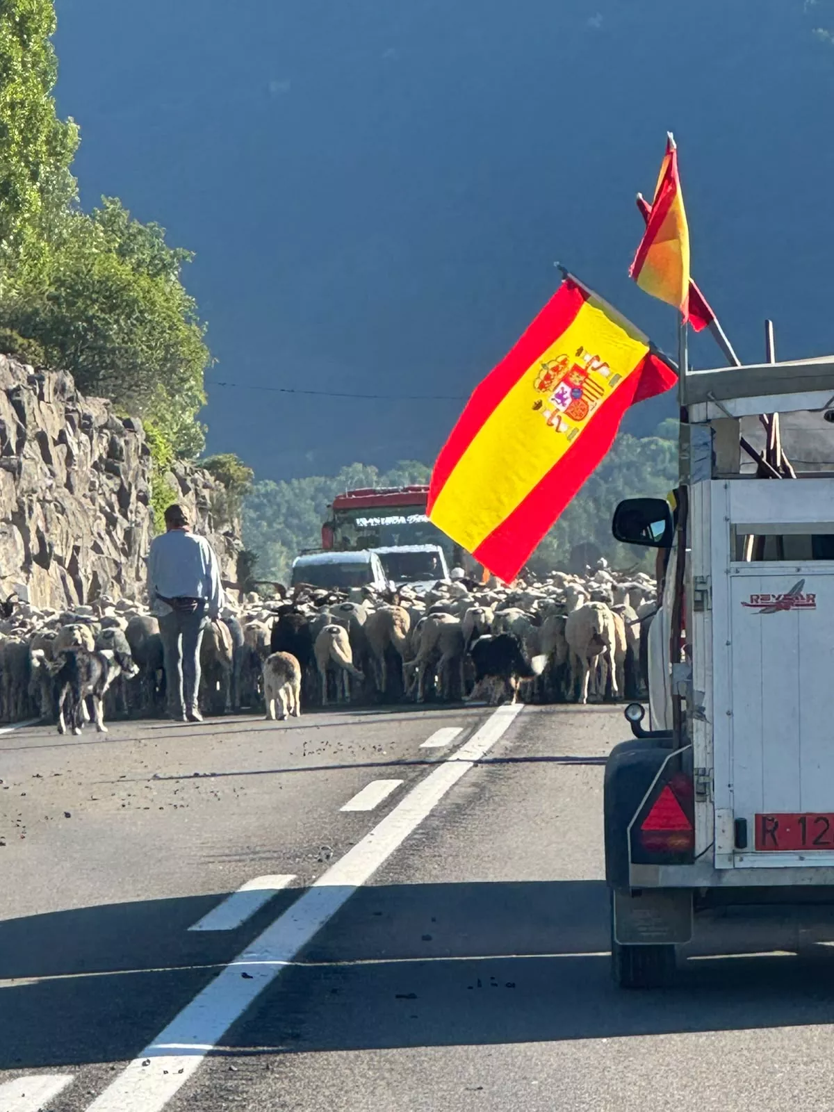 Trashumancia entre Senegüé y Biescas. Foto Iván Bordonada
