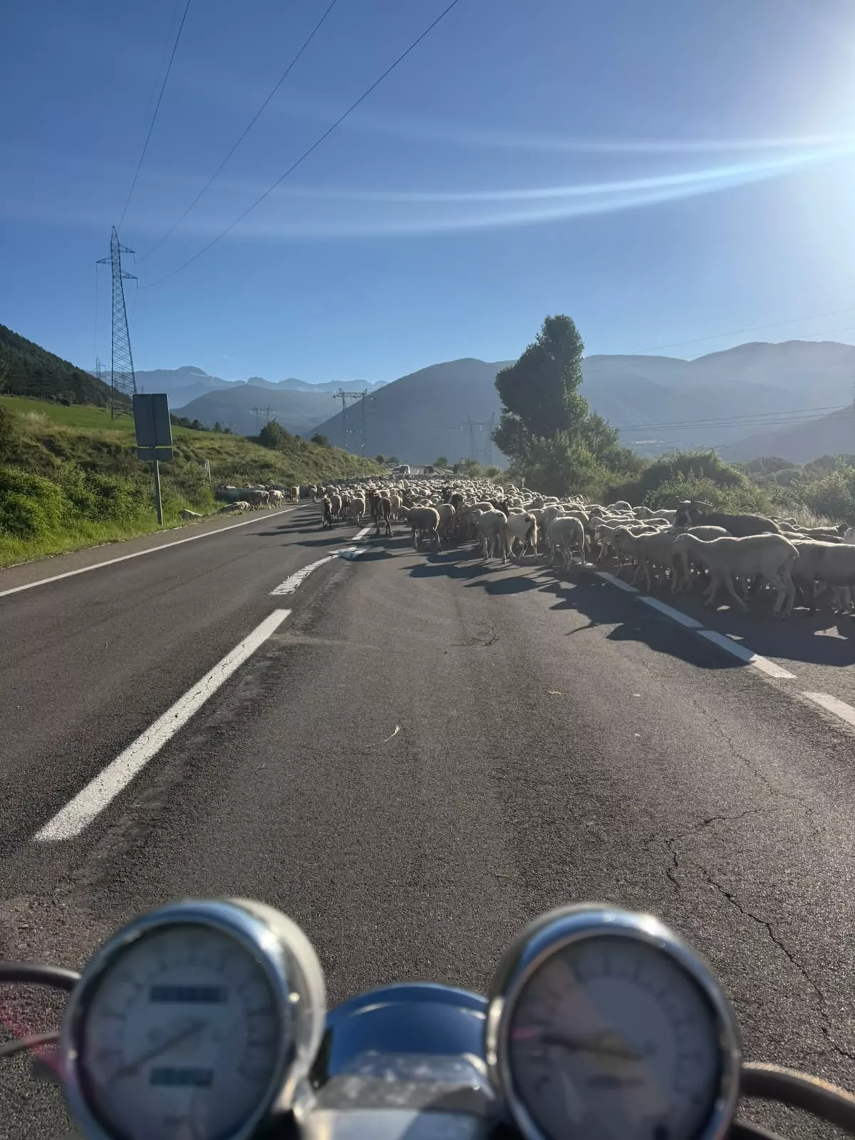 Trashumancia entre Senegüé y Biescas. Foto Iván Bordonada