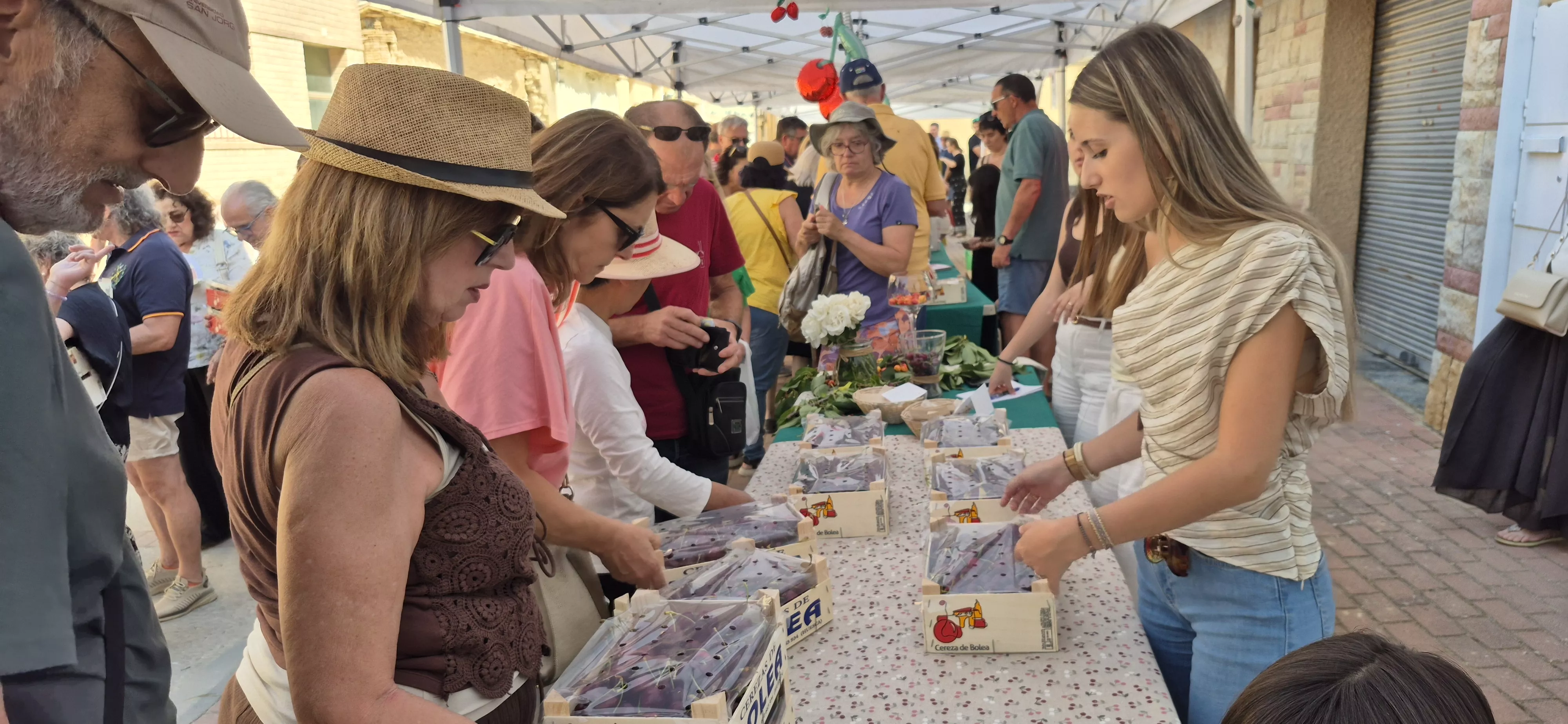 Feria de la Cereza de Bolea. Foto Myriam Martínez