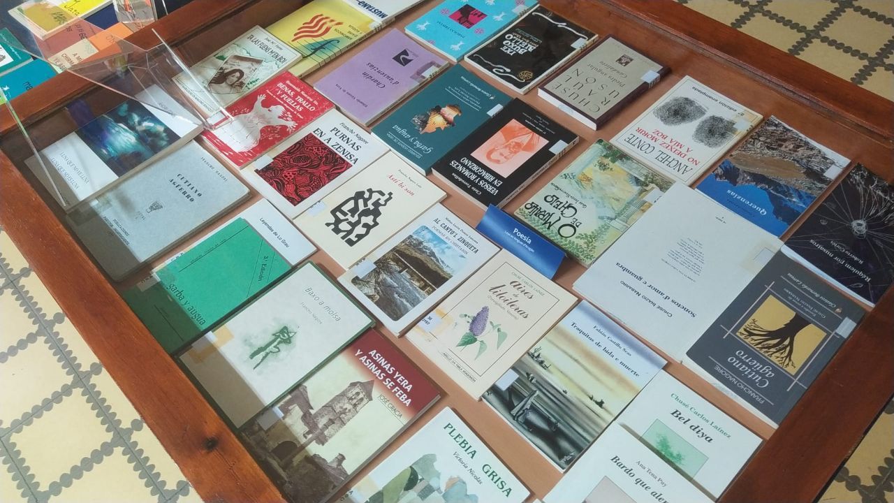 Obras literarias en aragonés que expone la biblioteca de Magisterio del Campus de Huesca con motivo del Día de la Lengua Materna.