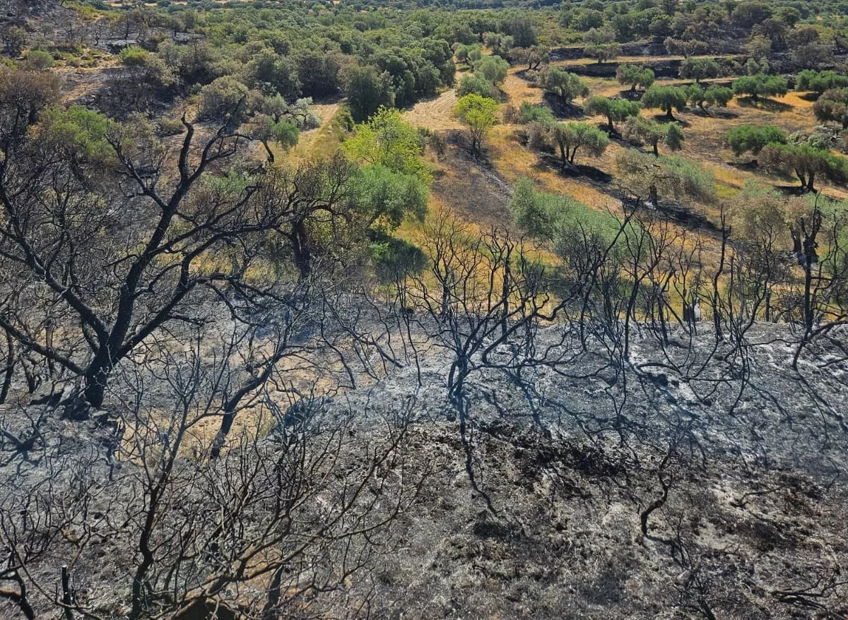 El fuego arrasa 70 hectáreas en Hoz y Costean.