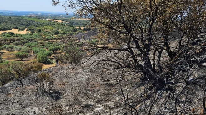 Imagen tras el fuego.